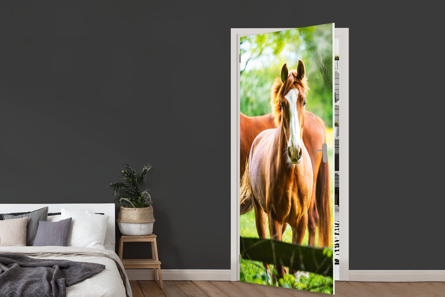 MuchoWow Türtapete Pferde - Matt, Tür, St), 75x205 cm Fototapete - Türaufkleber, bedruckt, für Wiese, Licht (1