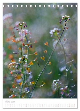 CALVENDO Wandkalender Wiesenblumen (Tischkalender 2024 DIN A5 hoch), CALVENDO Monatskalender