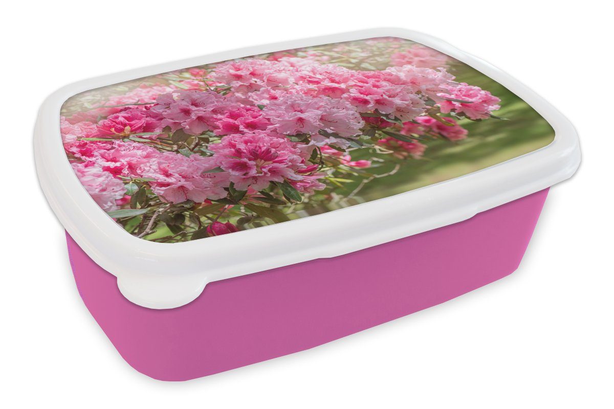 Snackbox, Erwachsene, Kunststoff MuchoWow Kunststoff, für Hortensie, Kinder, Brotdose Sommerfarben (2-tlg), Brotbox Mädchen, Lunchbox rosa der