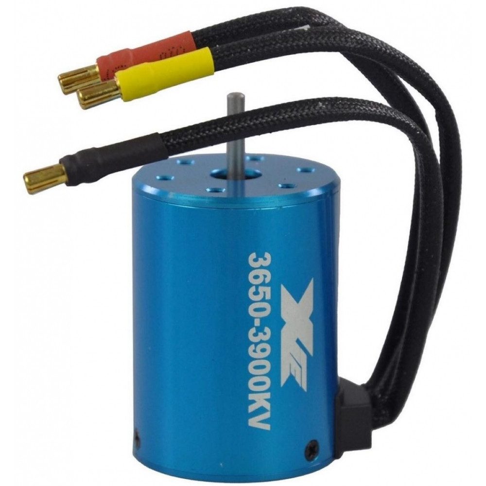Amewi Modellbausatz 3650 Crusher - Brushless Motor - blau