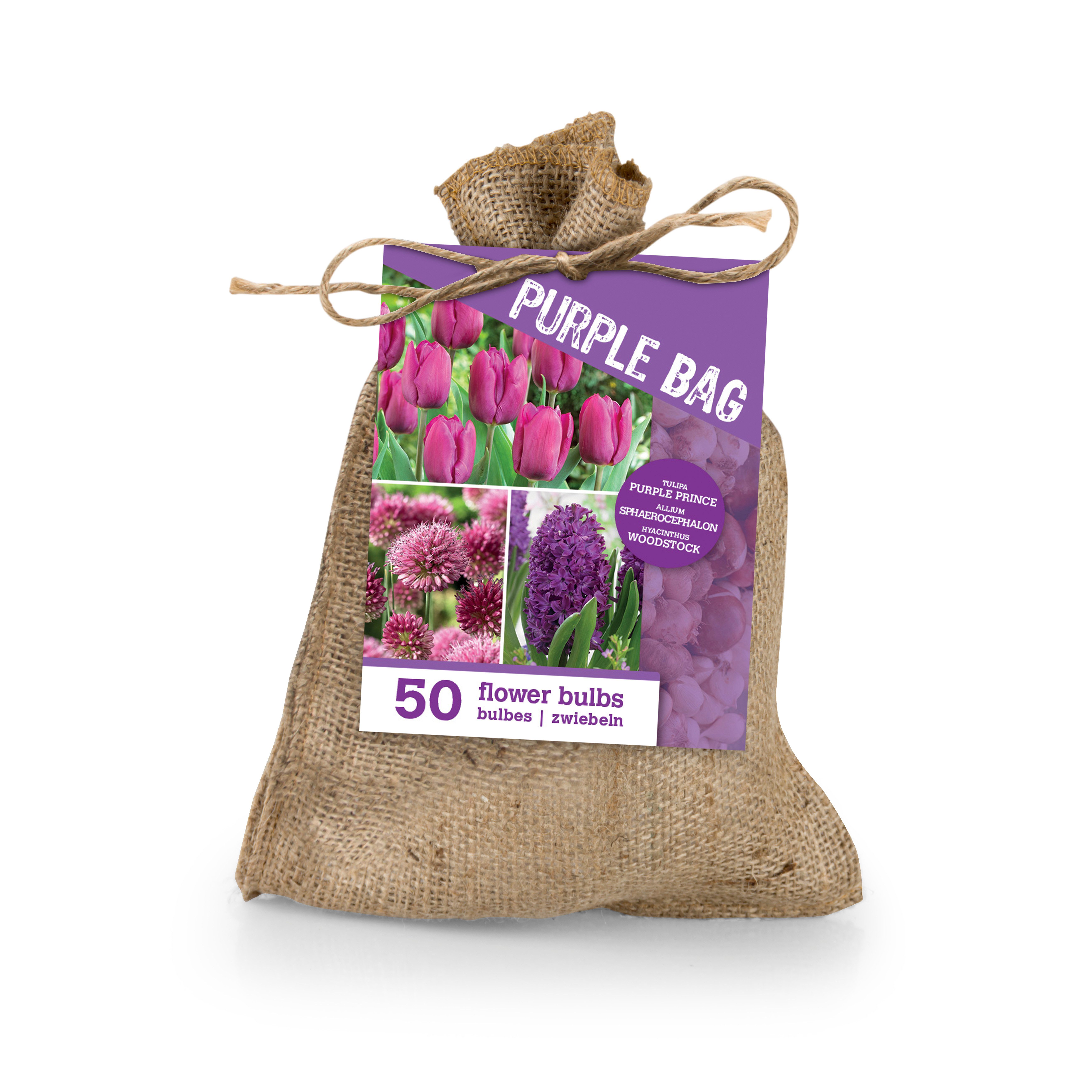 Bloomique Blumenzwiebeln Bloomique - 50er-Mix - The Purple Bag - Lila Mix - Tulpen, Hyazinthen, (50-St)