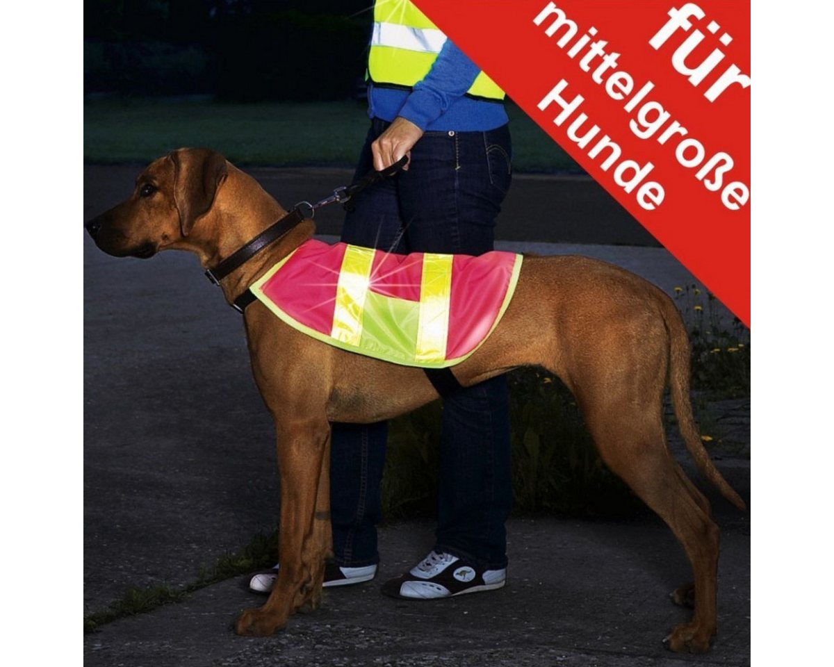 Thumbnail - TRI International Hundewarnweste Universal Hunde Sicherheitsweste für mittelgroße Hunde mit Gurt, breite Reflektorstreif...