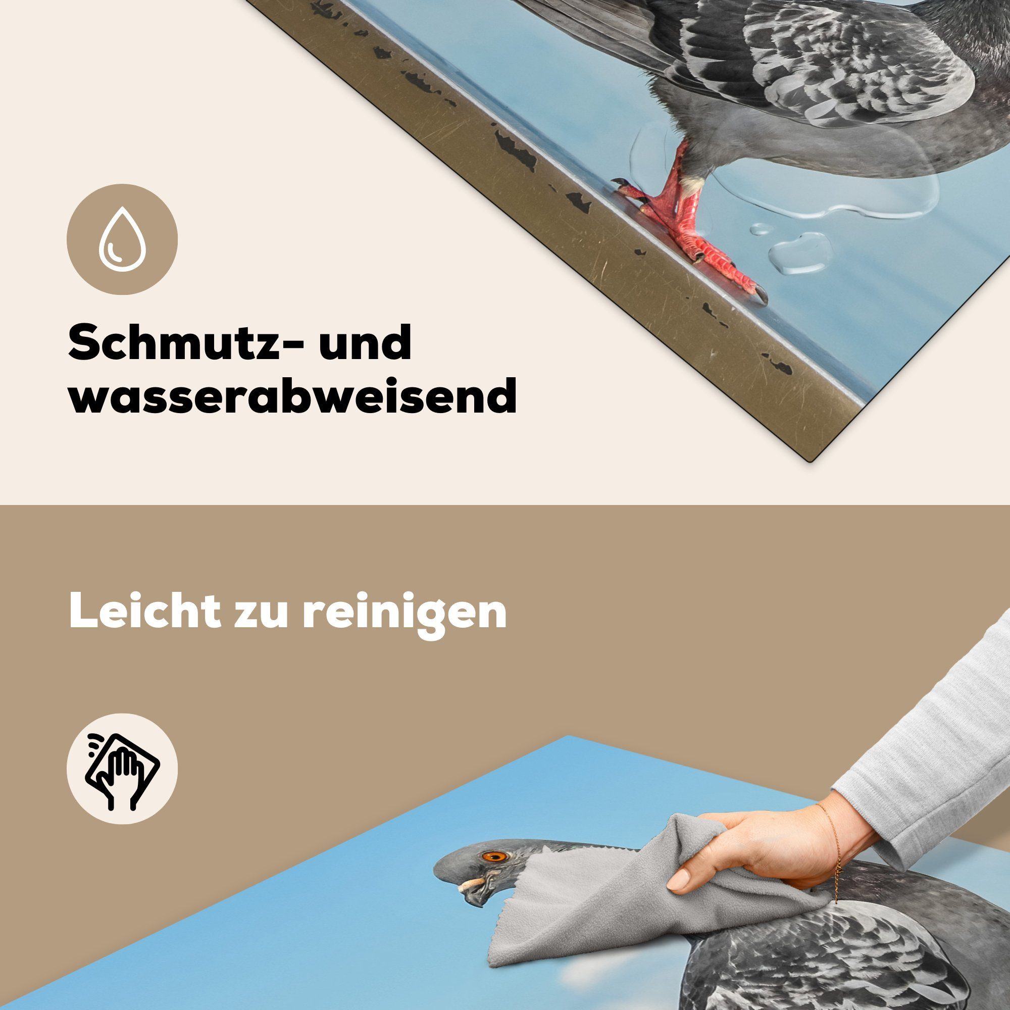 küche Vinyl, Ceranfeldabdeckung, Arbeitsplatte tlg), Taube (1 für schöne MuchoWow cm, Meer, 78x78 Eine Herdblende-/Abdeckplatte Mauer einer auf am sitzt