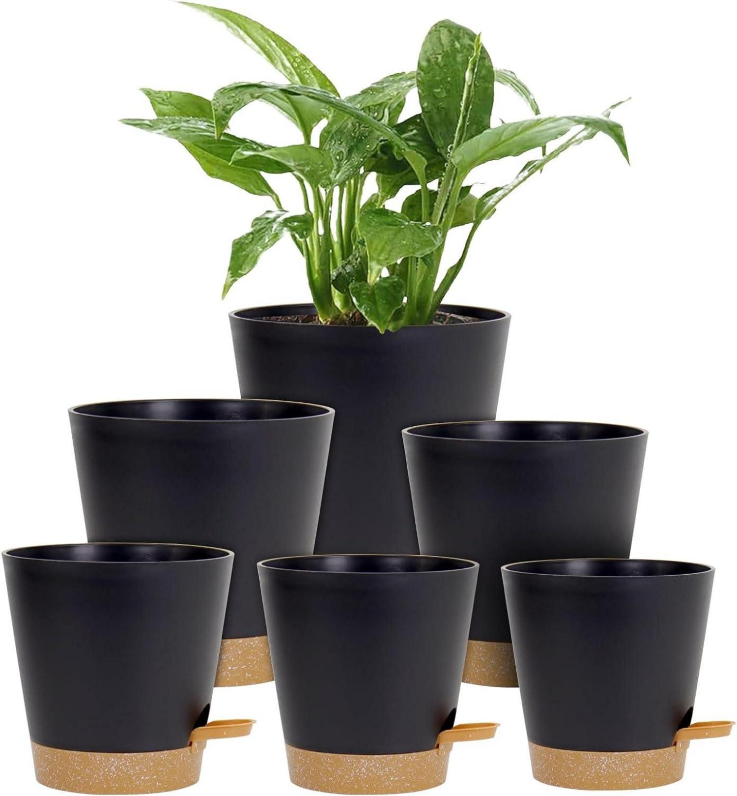Abdeckhaube 6er Set Selbstbewässernde Blumentöpfe Schwarz