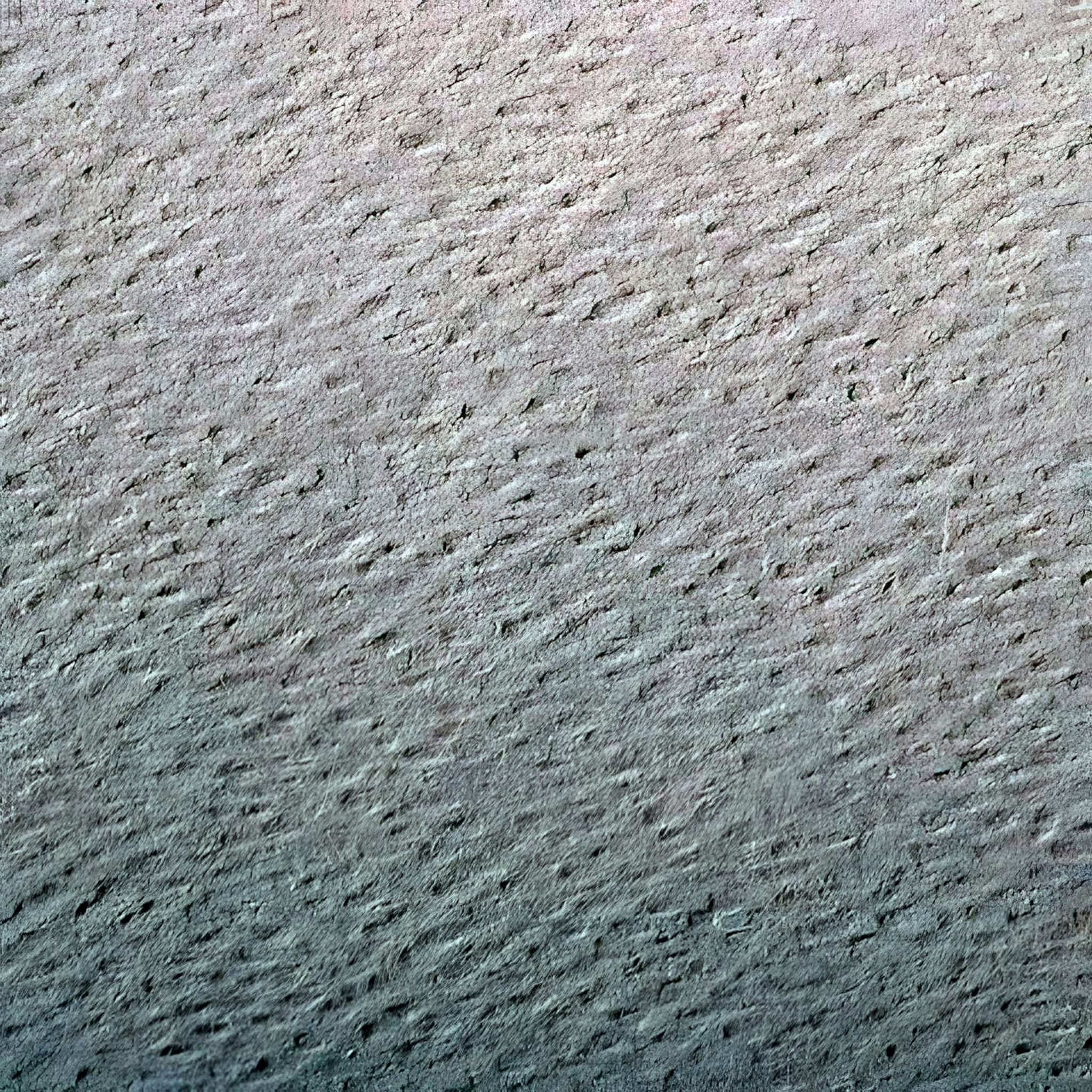 CLAIREFONTAINE Zeichenpapier Clairefontaine Zeichenpapier A4 160g Rosa 25Bg