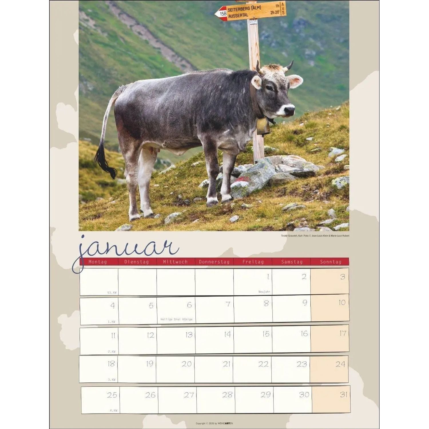 Wandkalender Kuh Kalender 2027