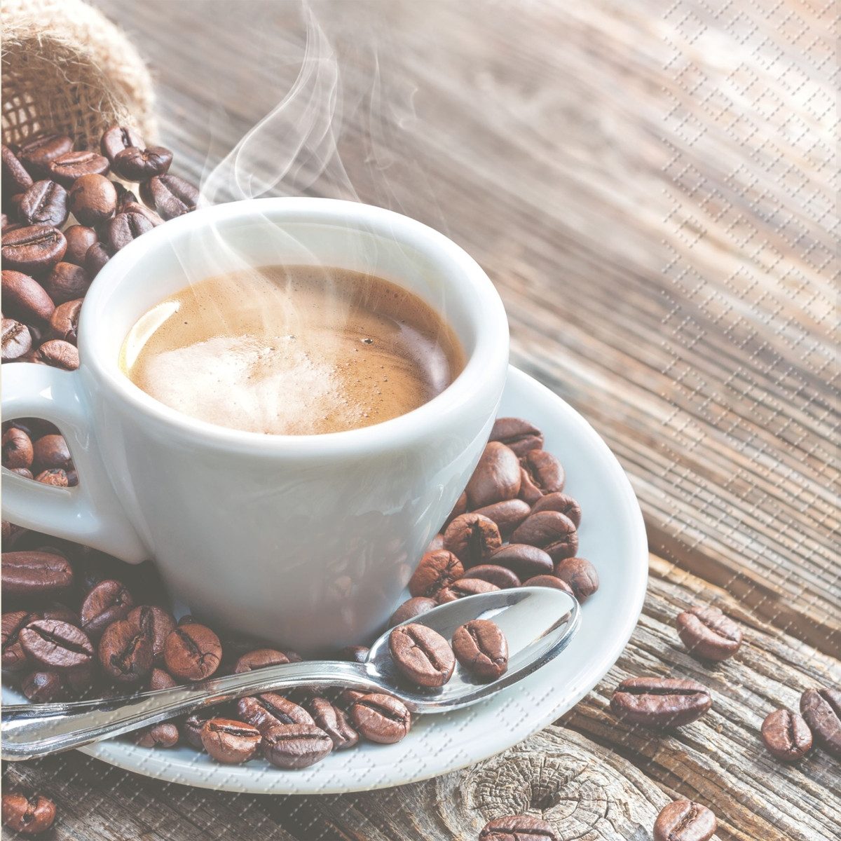 stewo Geschirr-Set Servietten 33x33cm VE=20 Stück Roastery braun hell FSC