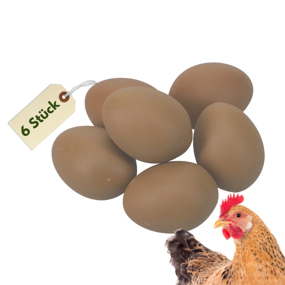 GarPet Nistkasten 6x Nesteier für Hühner