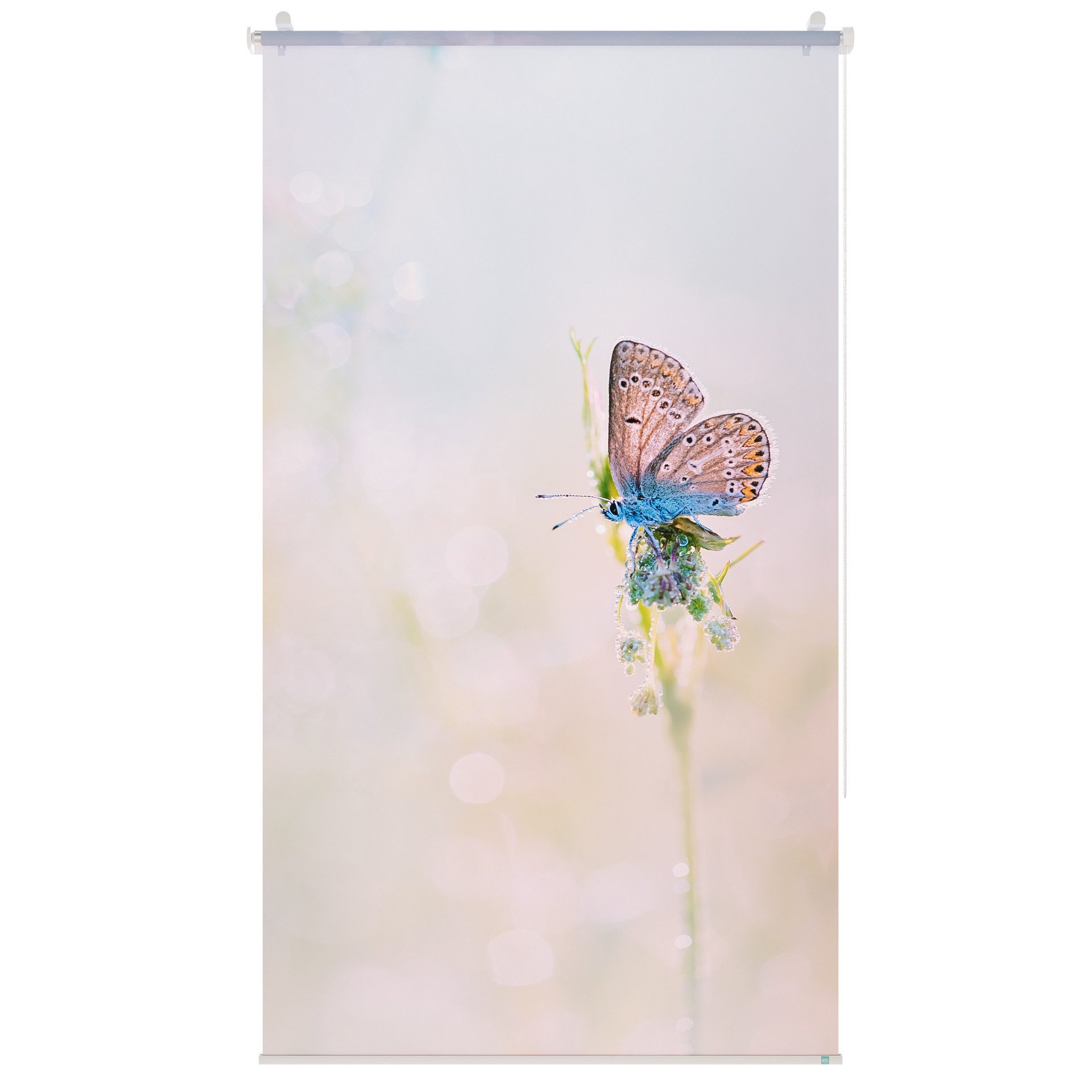 Rollo Rollo, Roomy, Klemmbar, Anschraubbar, Klemmbar, Anschraubbar