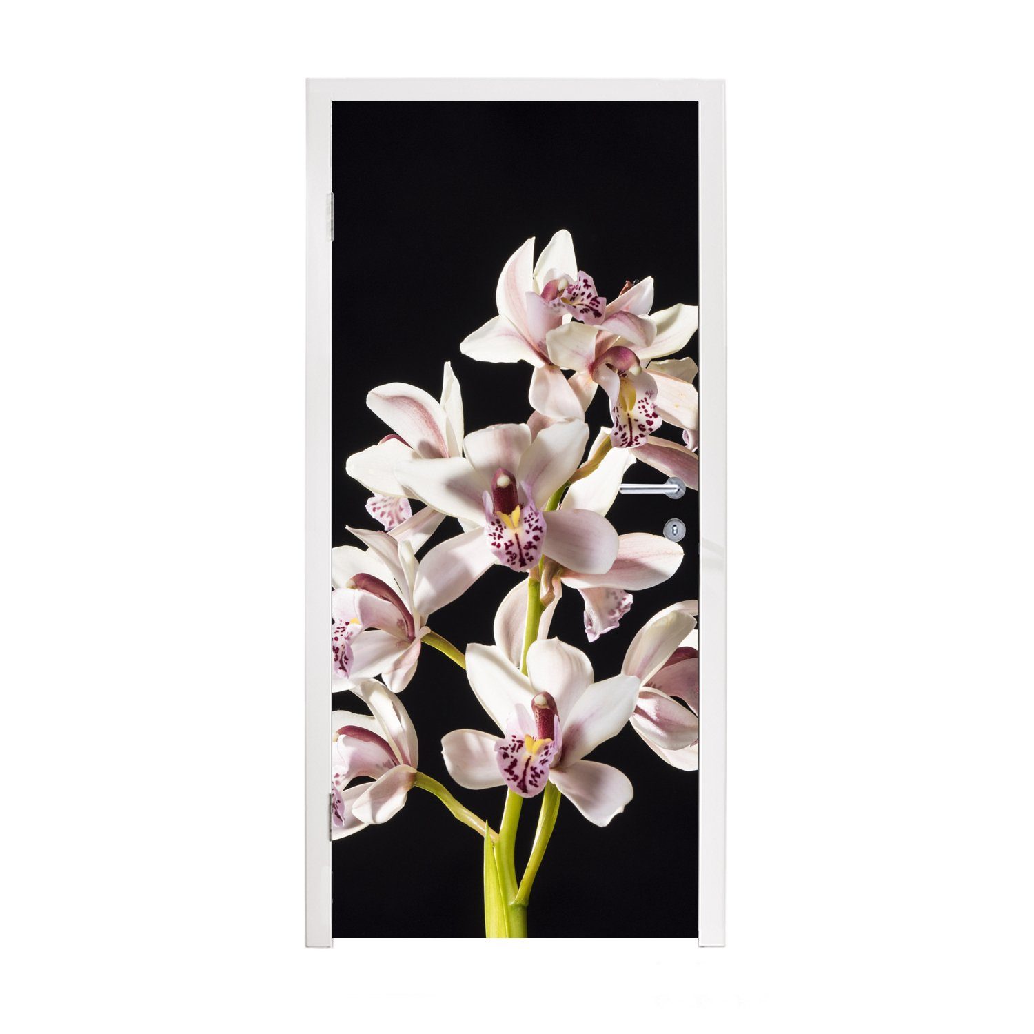 MuchoWow Türtapete schwarzem Matt, (1 für Hintergrund, Eine bedruckt, Fototapete Orchidee Türaufkleber, vor weiße St), Tür, cm 75x205
