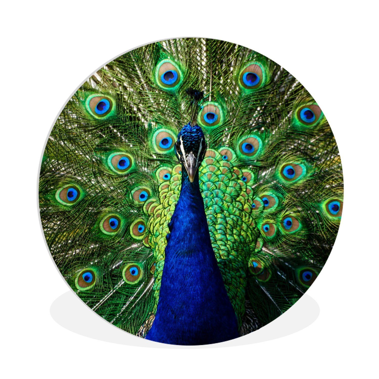 Pfau - Kreis Forex, Gemälde 30x30 - Augen Wandbild, MuchoWow Federn Blau, (1 St), Rundes Wohnzimmer, - Wanddekoration cm