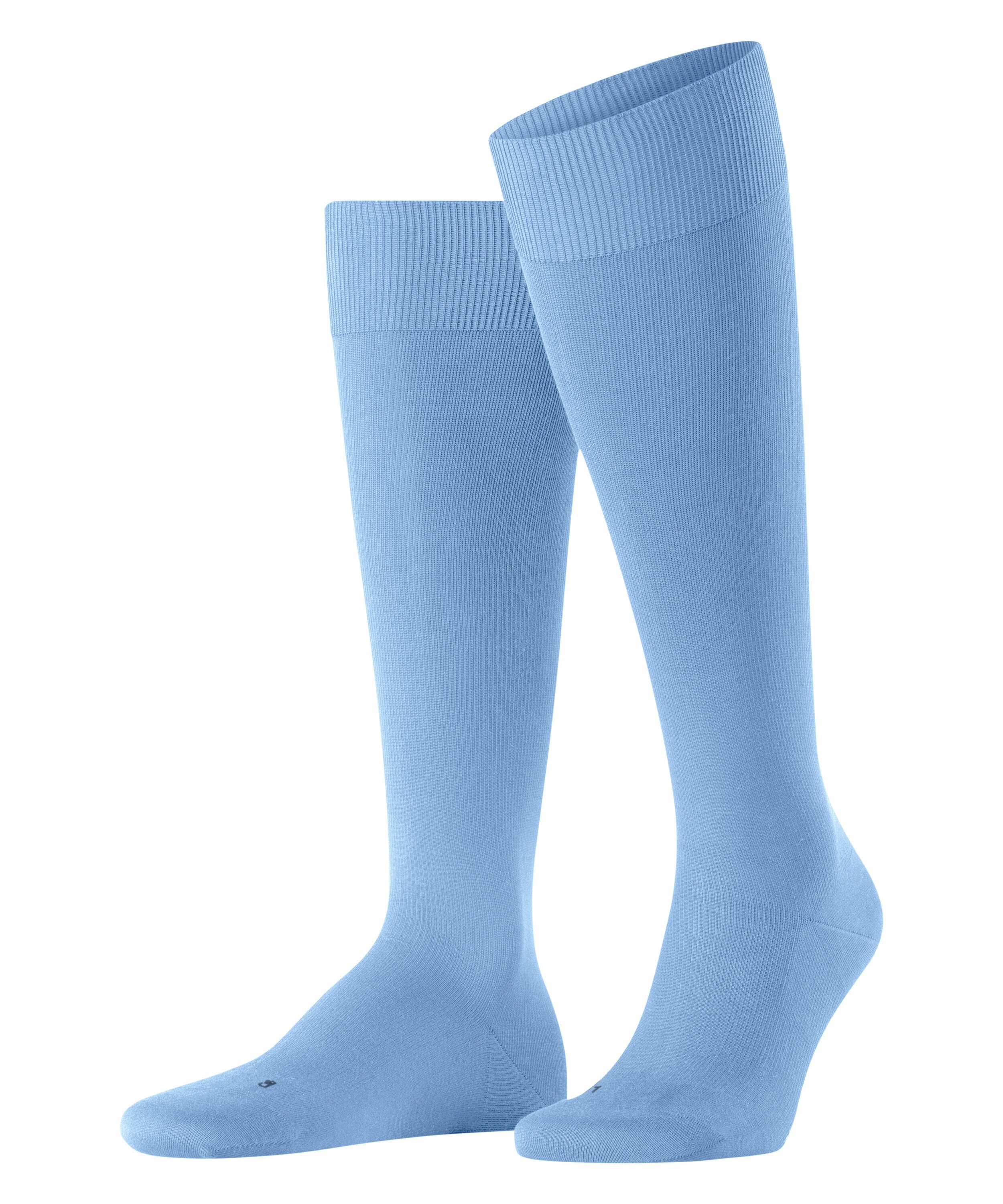 cornflower blue (6554)