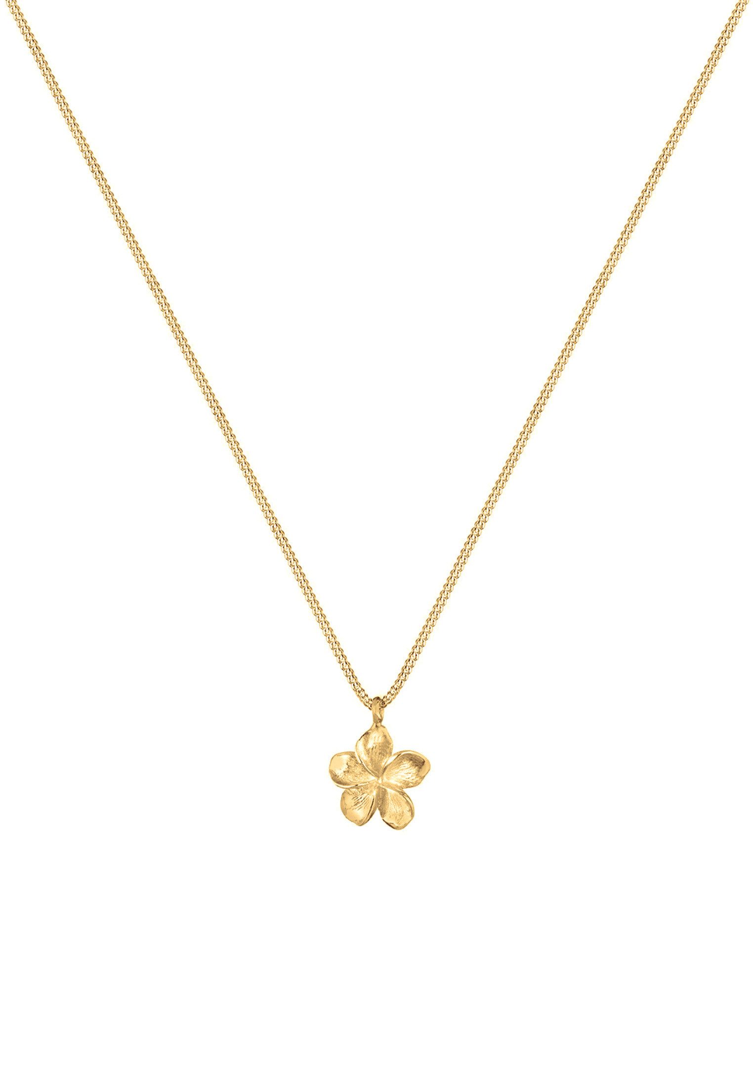 Elli Kette mit Anhänger Frangipani Blüte 925 Silber, Frangipani Blüte günstig online kaufen