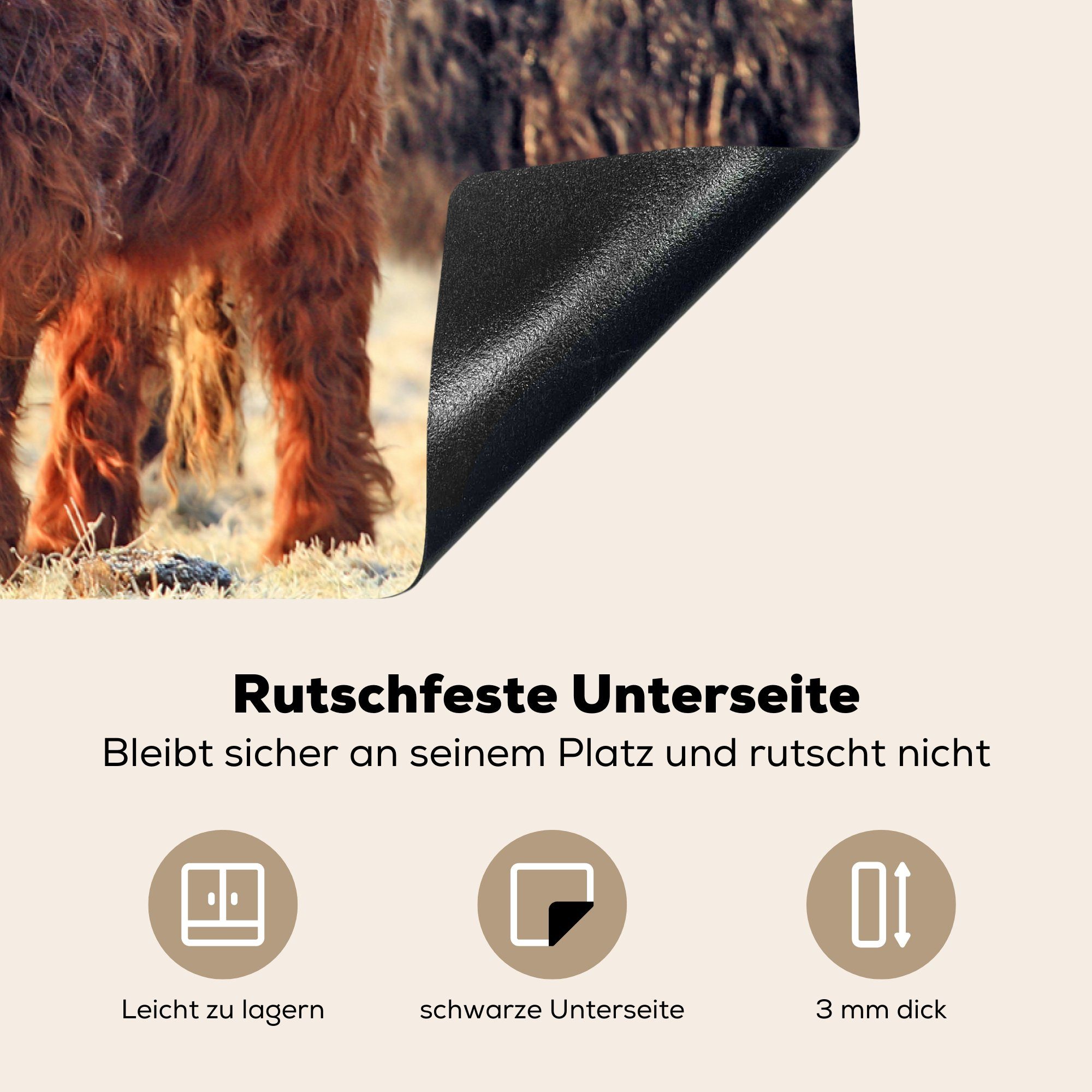 küche, tlg), (1 Vinyl, Ceranfeldabdeckung cm, Schottische MuchoWow - Induktionskochfeld 81x52 Highlander Schutz Winter, für die Herdblende-/Abdeckplatte