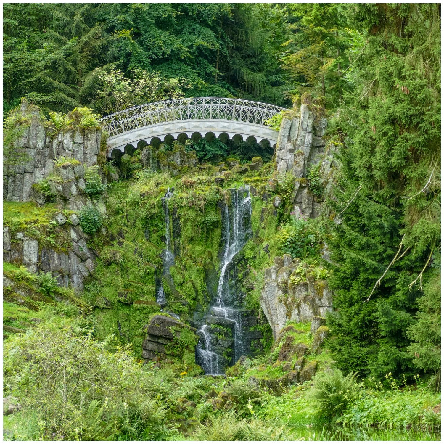 Wallario Glasbild, Brücke im Wald, in verschiedenen Ausführungen