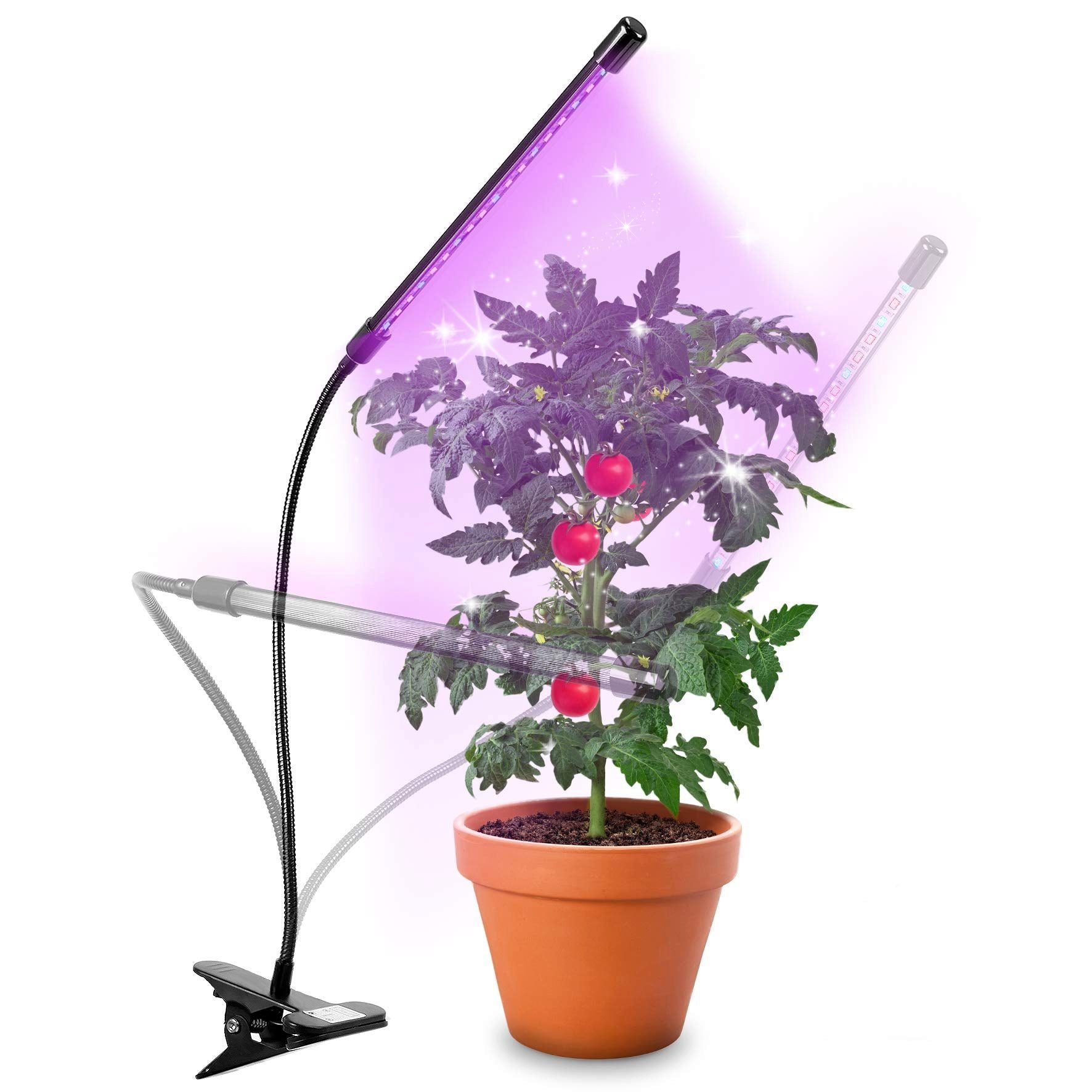 Duronic Pflanzenlampe, GLC12 Pflanzenlampe, Vollspektrum Wachstumslampe mit  18x rote & blaue LED-Lampen, 3 Farbmodi, Pflanzenleuchte mit Schwanenhals  in 6 Lichtstärken, 20W Pflanzenlicht für Pflanzen und Kräuter
