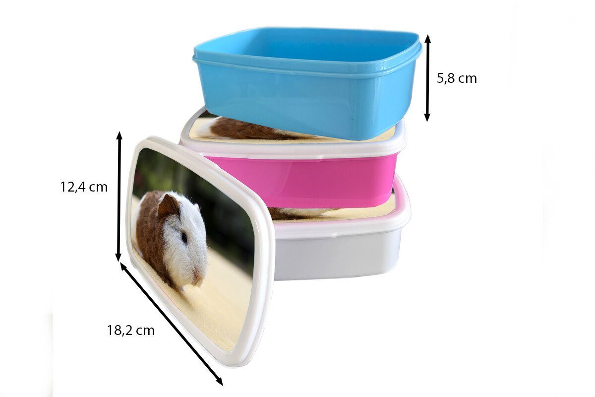 Kunststoff, Erwachsene, und Lunchbox Brotbox Jungs für MuchoWow Junges Meerschweinchen, Kinder für (2-tlg), und Mädchen Brotdose, weiß