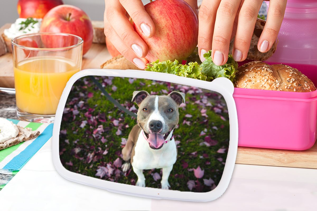 Blumen, MuchoWow Hund Brotdose Kunststoff Gras (2-tlg), für Erwachsene, rosa Kinder, Brotbox - Mädchen, Snackbox, - Kunststoff, Lunchbox