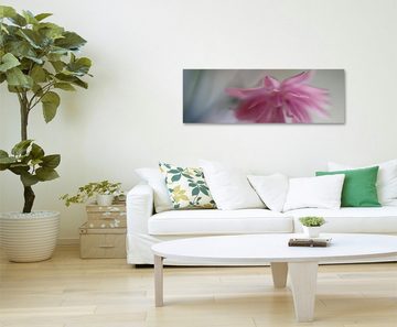 Sinus Art Leinwandbild Naturfotografie  Altrosa Blüte auf Leinwand exklusives Wandbild moderne Fotografie für ihre Wand in