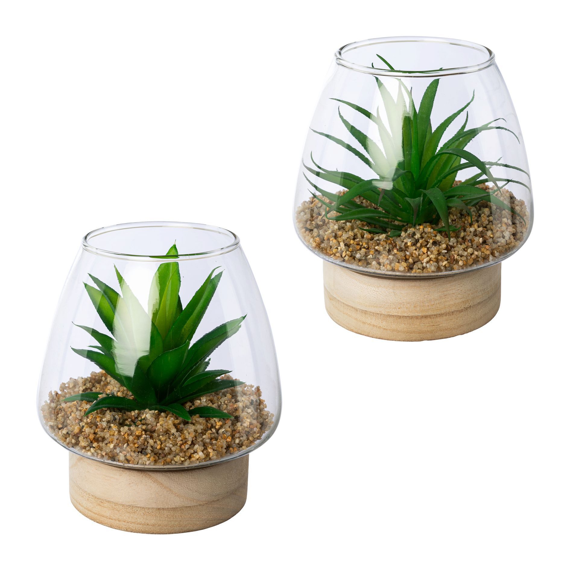 Kunstpflanze Sukkulenten im Glasgefäß, Creativ green, Höhe 14 cm, mit 2 ver günstig online kaufen