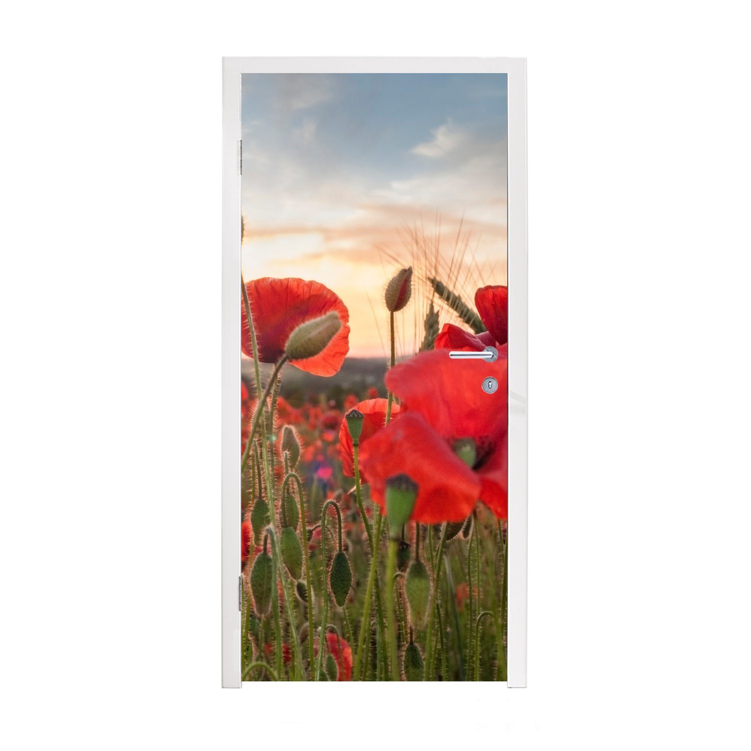 MuchoWow Türtapete Sonnenuntergang hinter den schönen Mohnblumen, Matt, bedruckt, (1 St), Fototapete für Tür, Türaufkleber, 75x205 cm