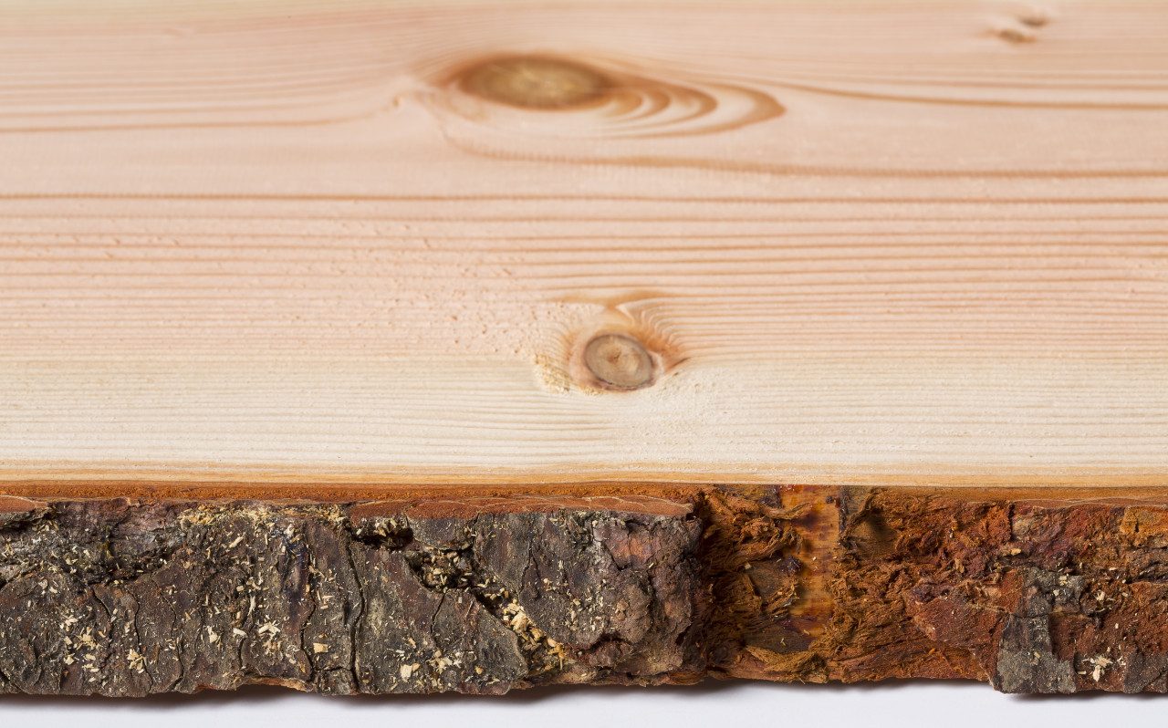 binderholz Regaleinsatz Holzbrett Massivholz Douglasie unbesäumt 120 x 27