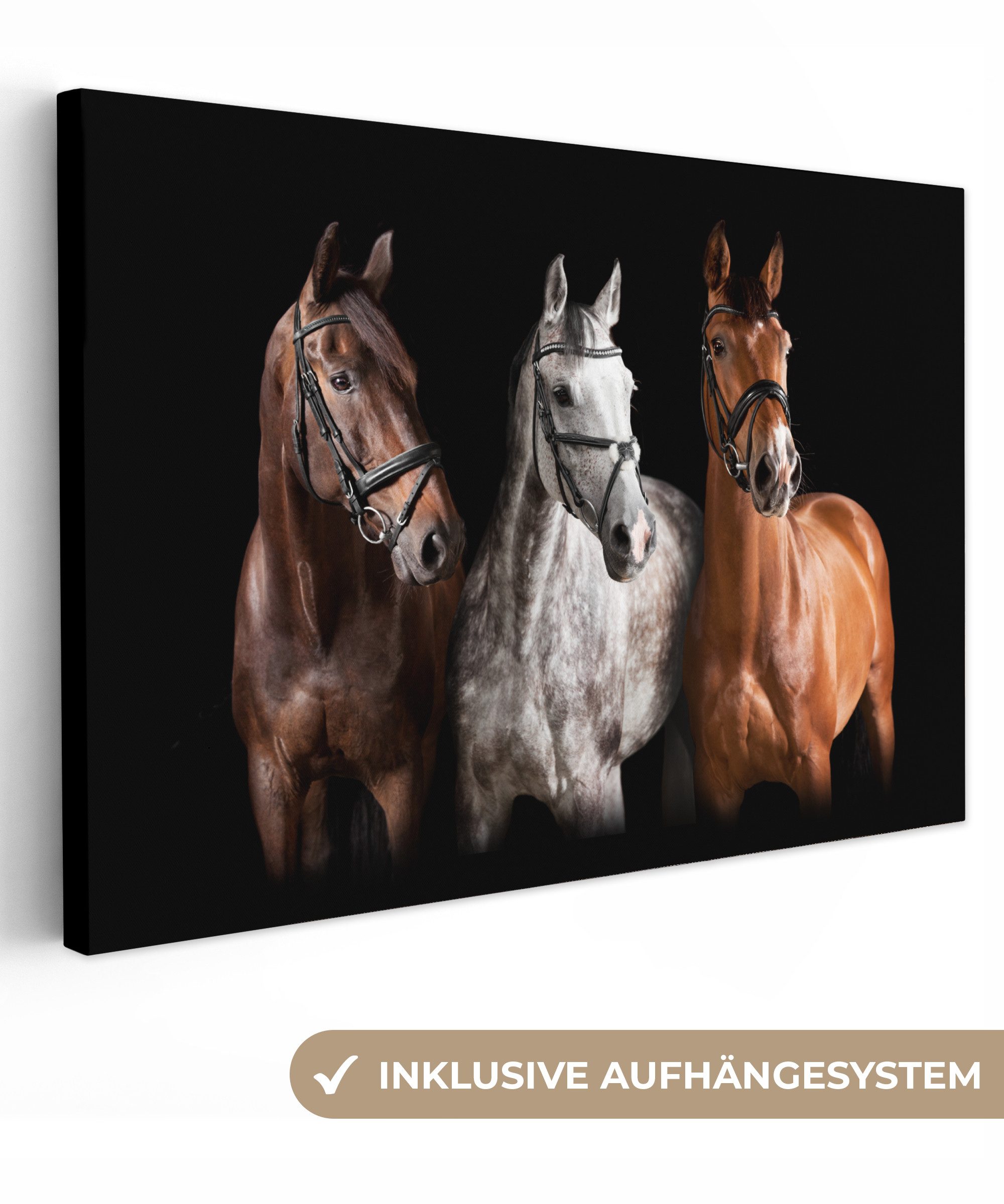 OneMillionCanvasses® Leinwandbild Pferde - Tiere - Schwarz, Fotodruck (1 St), Wandbilder Wohnzimmer Schlafzimmer 90x60 cm