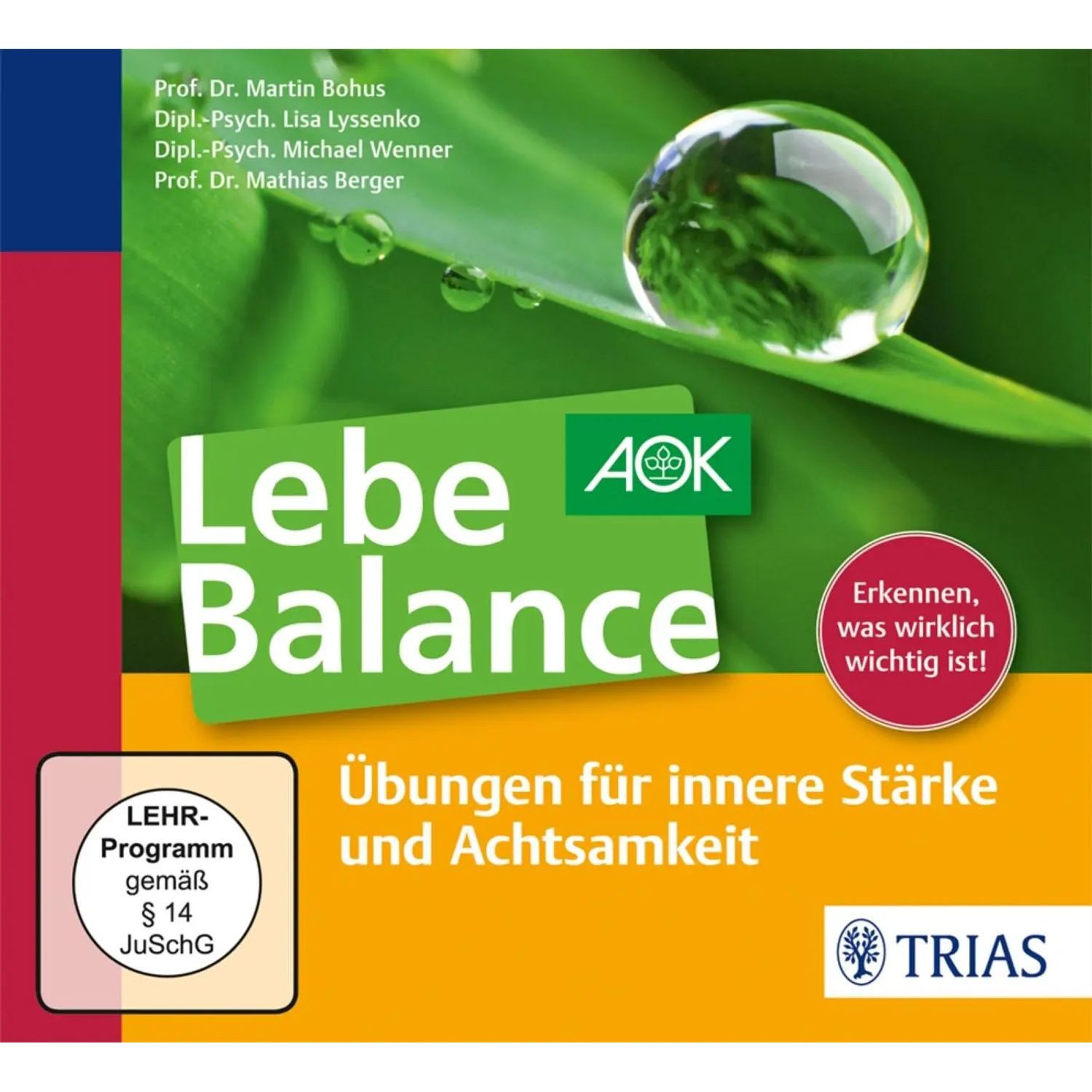 Thieme Hörspiel Lebe Balance Audio-CD