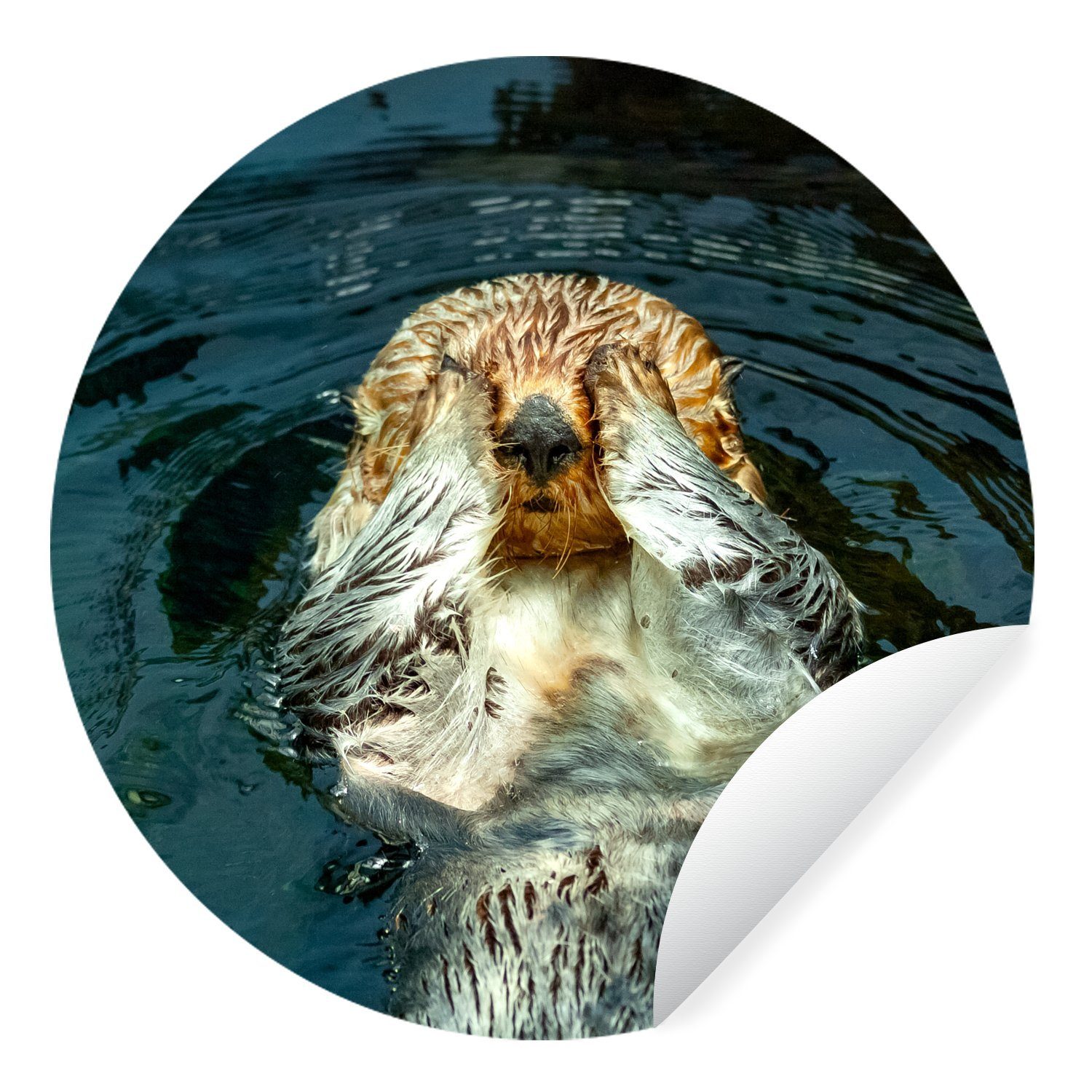 MuchoWow Wandsticker Otter im Wasser (1 St), Tapetenkreis für Kinderzimmer, Tapetenaufkleber, Rund, Wohnzimmer
