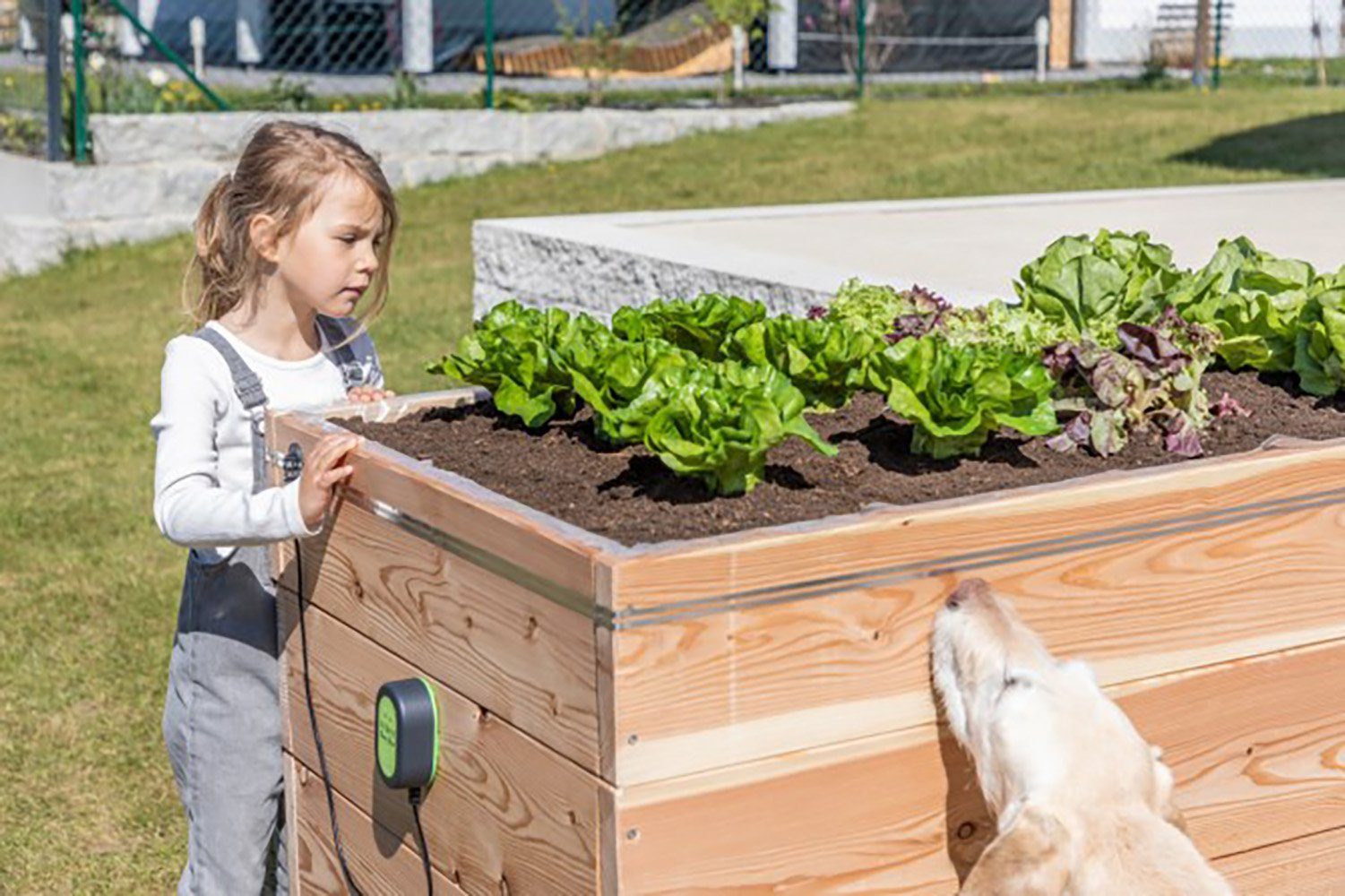 Kerbl Schneckenzaun Kerbl SnailStop Starter Set, Elektrischer Schneckenzaun, 291130, 3-St.