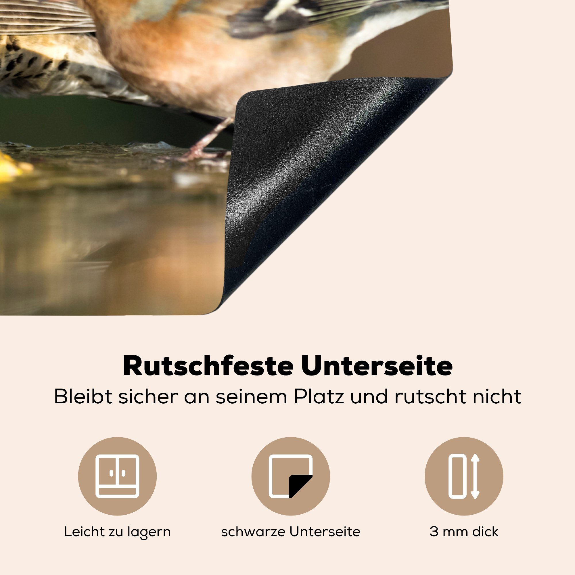 Induktionskochfeld Schutz mit MuchoWow (1 cm, tlg), für 71x52 Herdblende-/Abdeckplatte Vogel Misteldrossel küche, die Vinyl, anderem am Wasser, Ceranfeldabdeckung