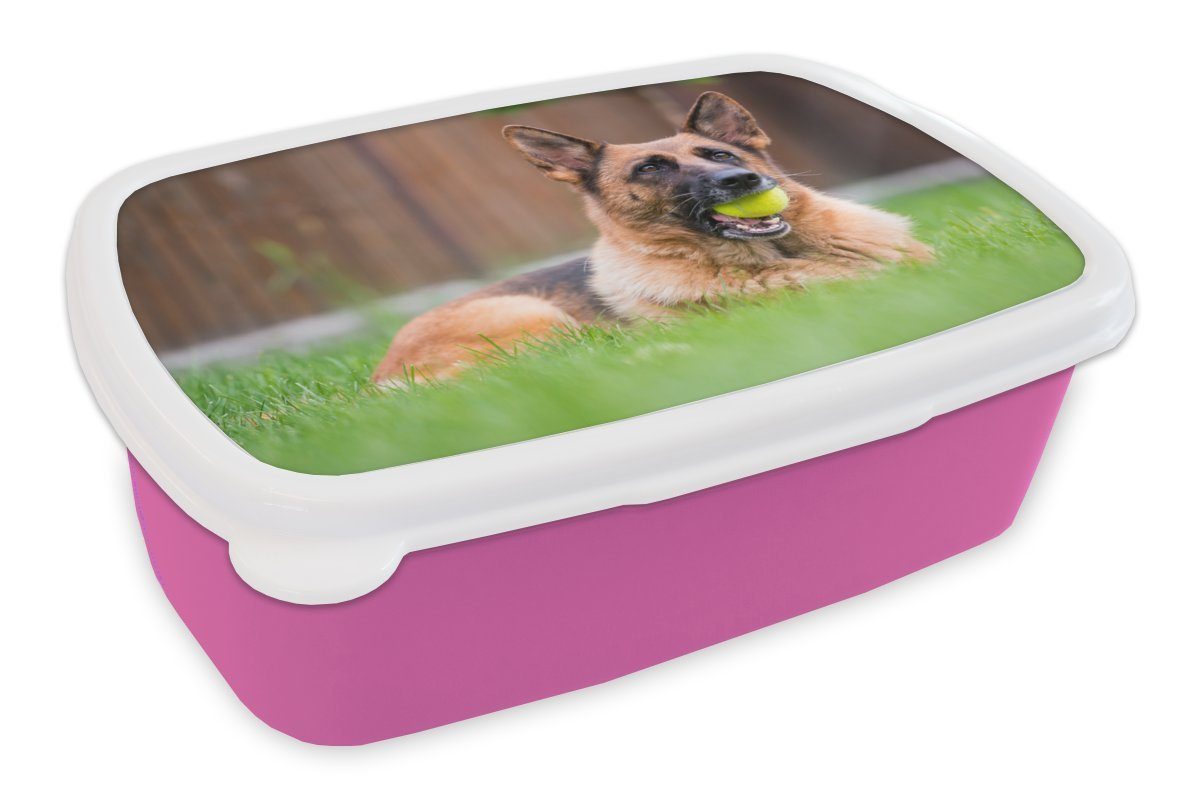 MuchoWow Lunchbox Deutscher Schäferhund mit einem Tennisball im Maul, Kunststoff, (2-tlg), Brotbox für Erwachsene, Brotdose Kinder, Snackbox, Mädchen, Kunststoff rosa