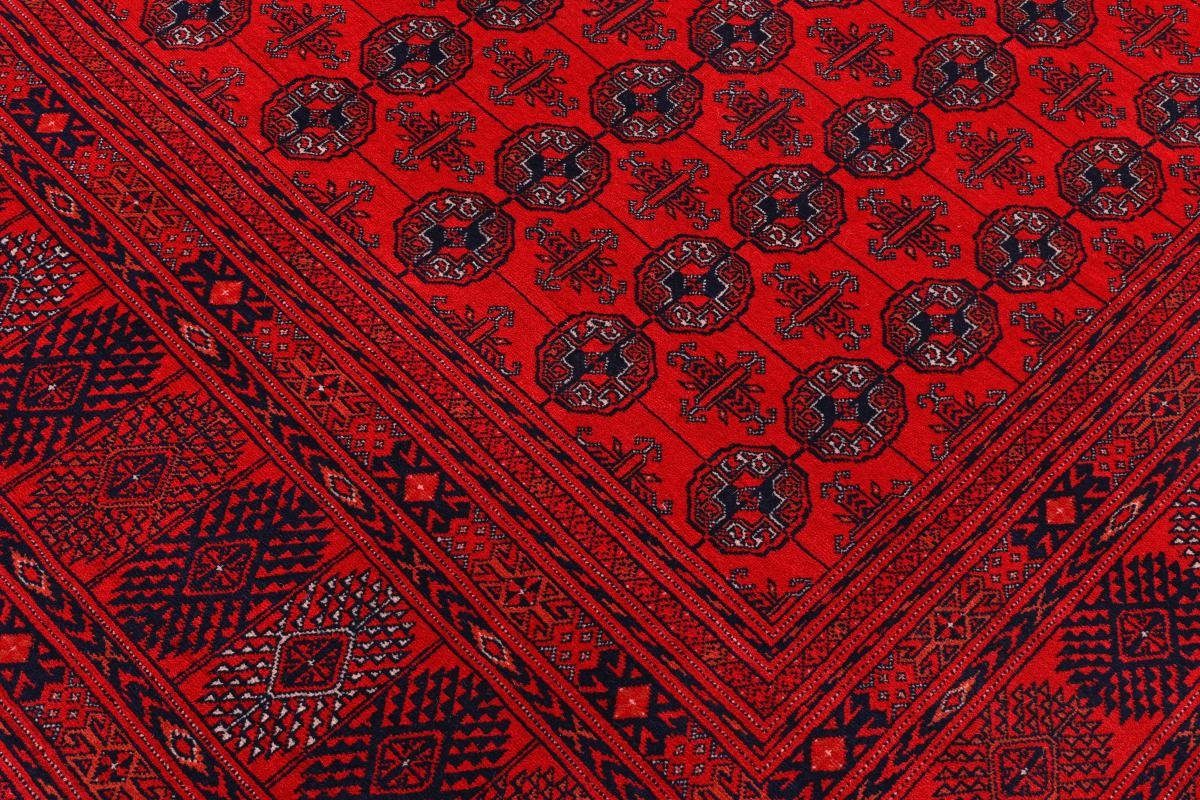 6 Höhe: rechteckig, Handgeknüpfter Trading, Orientteppich Mauri Afghan Orientteppich, Nain 249x342 mm
