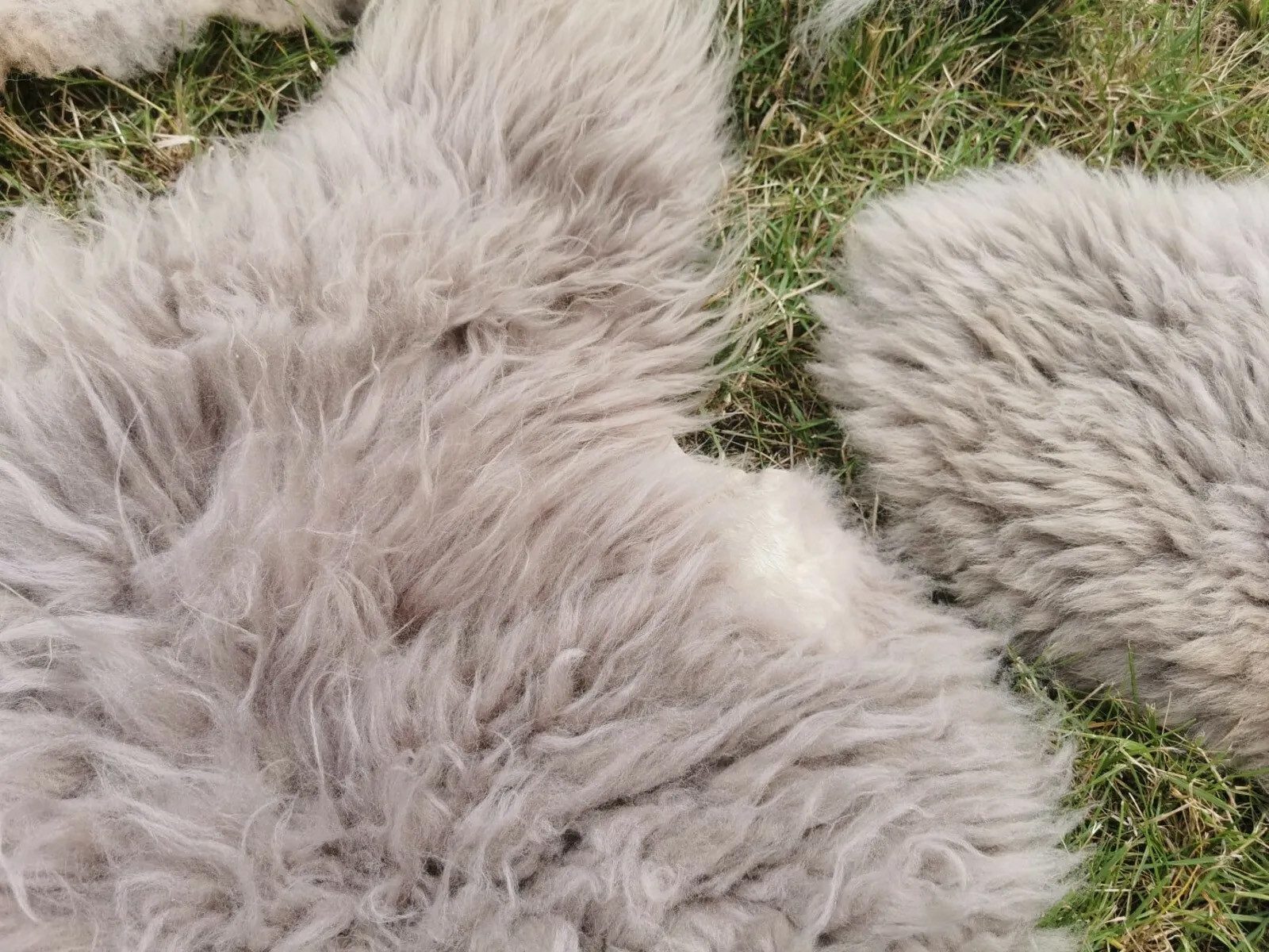 Provellus Fellteppich Öko Schaffell Lammfell Taupe 2.Wahl Bis 140 cm, 30x30 günstig online kaufen