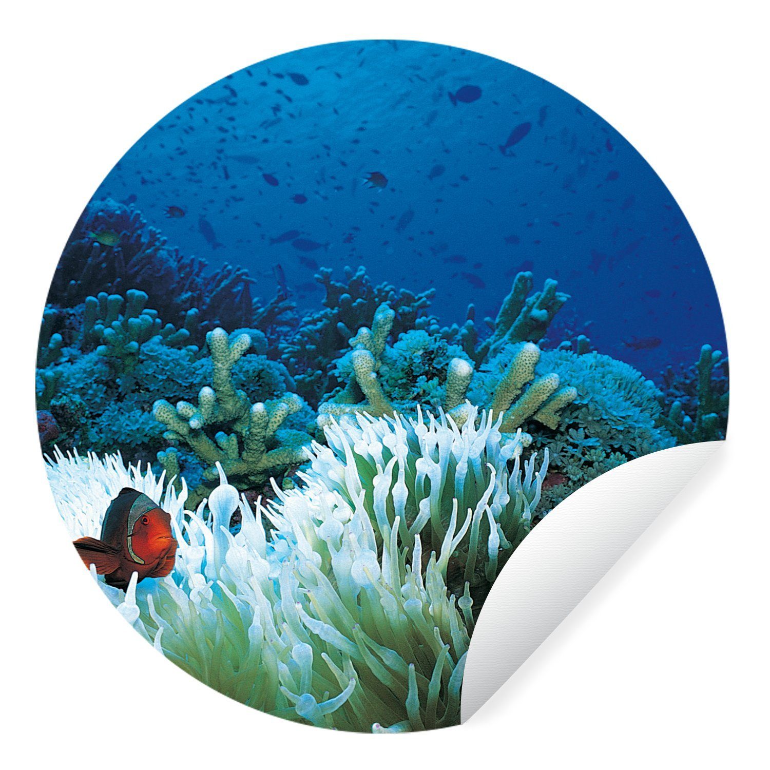 MuchoWow Wandsticker Unterwasserwelt mit Clownfischen (1 St), Wandtattoo Selbstklebend, Wohnzimmer Deko Aufkleber, 30x30 cm