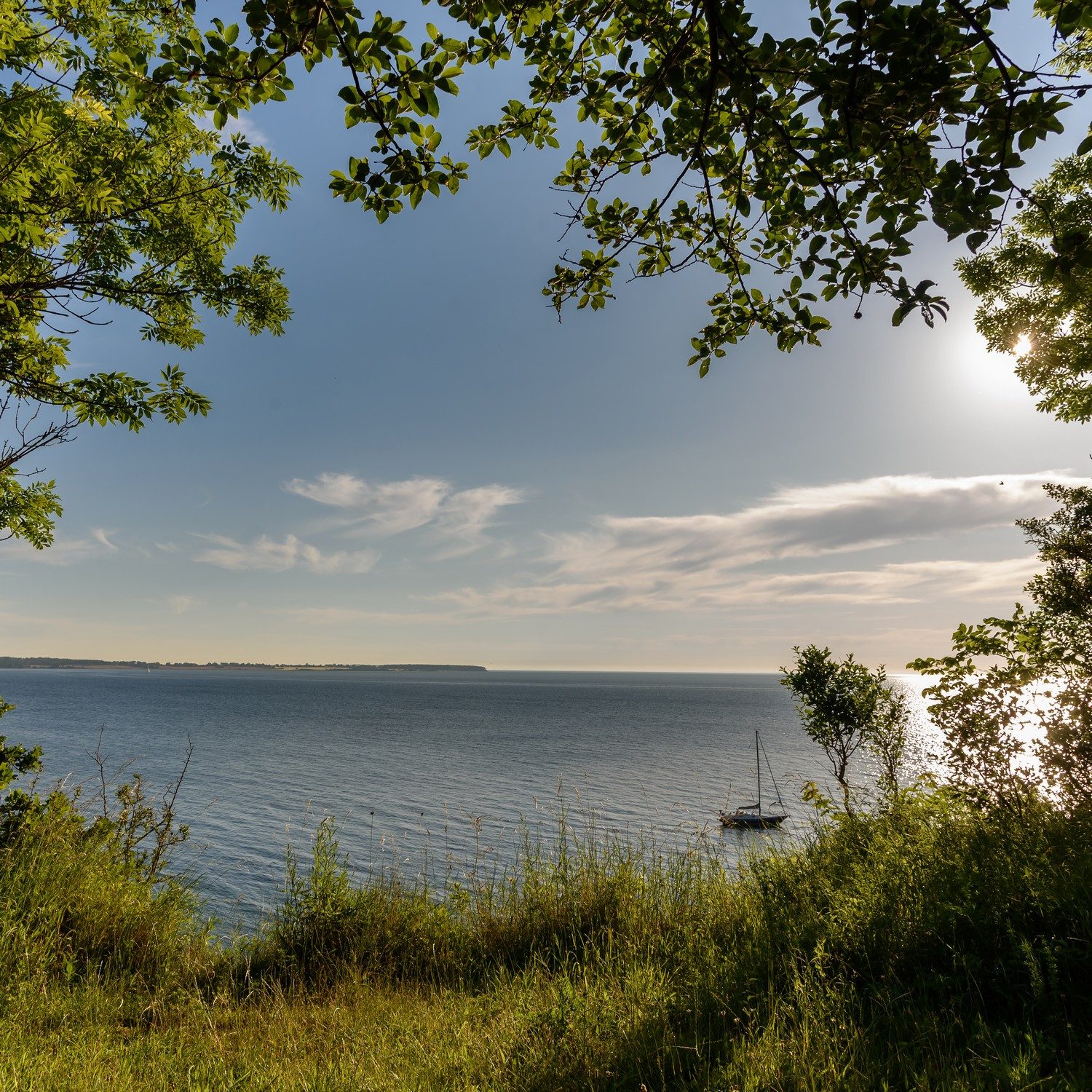 Wallario Möbelfolie Blick aufs Wasser