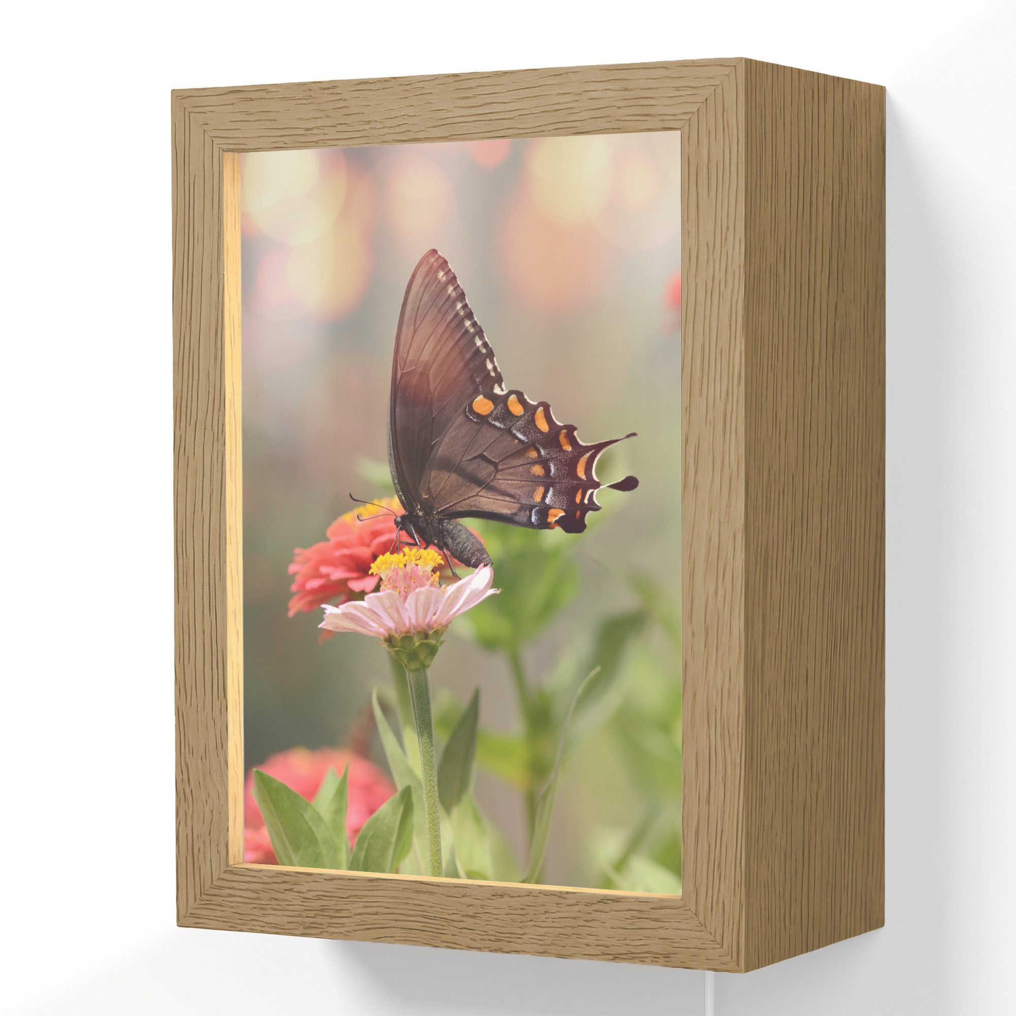 OnlyWow Wandleuchte Lightbox Blumen - Schmetterling - Natur - Blume, Dimmbar, Farbwechsel, LED, Warmweiß, Kaltweiß, Neutralweiß Einstellbar, Wandlampe Innen, Dimmbar, mit Kabel, LED, Beleuchtung, Wohnzimmer