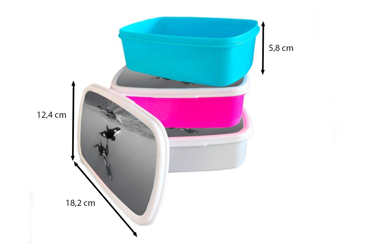 MuchoWow Lunchbox für - Kinder, Brotbox Orca Wasser (2-tlg), - Kunststoff rosa Schwarz Erwachsene, Kunststoff, Mädchen, Weiß, Snackbox, Brotdose 