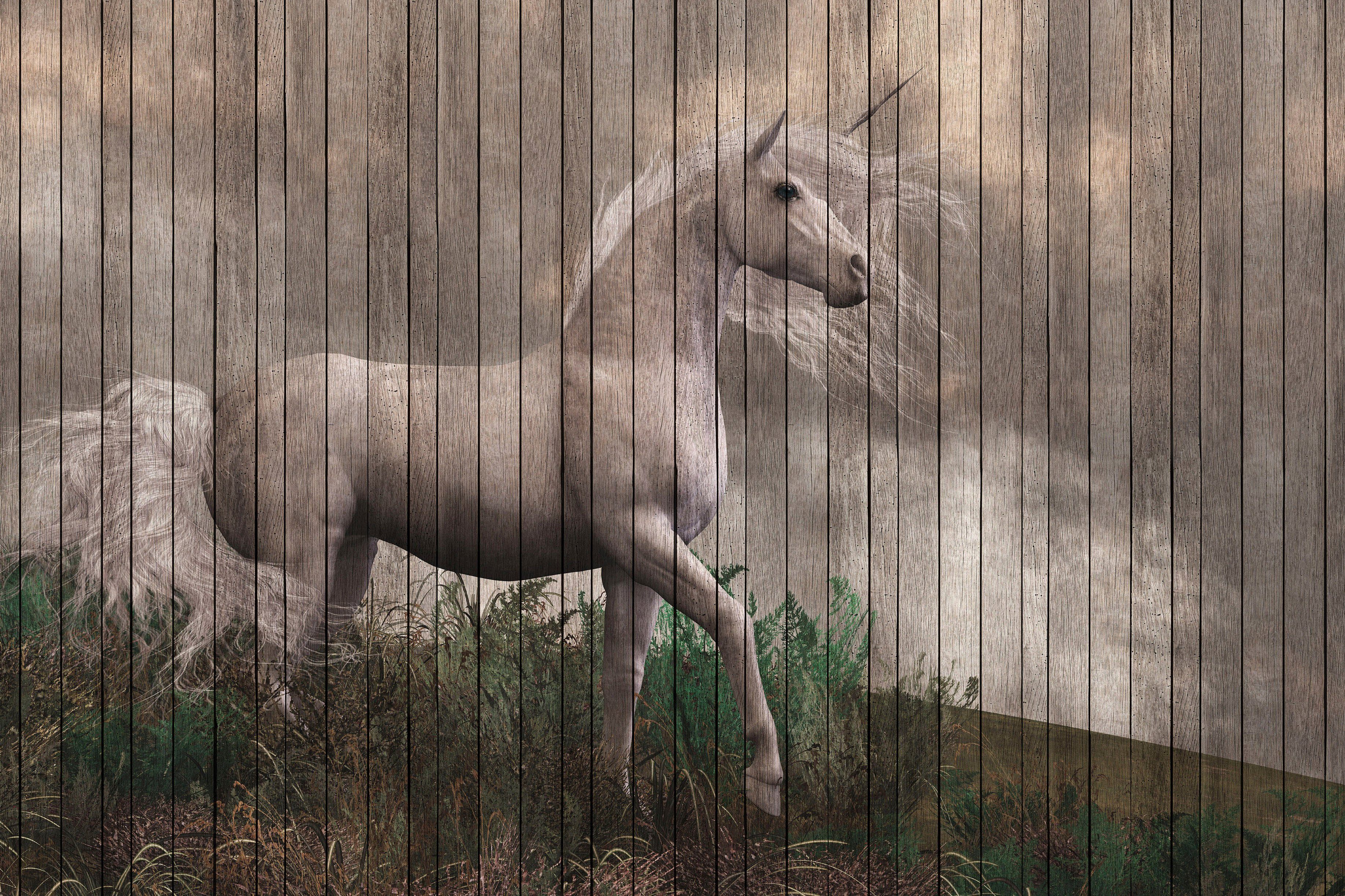 Leinwandbild St), Einhorn fantasy (1 3, Keilrahmen Création Bild Holzoptik A.S. Tiere