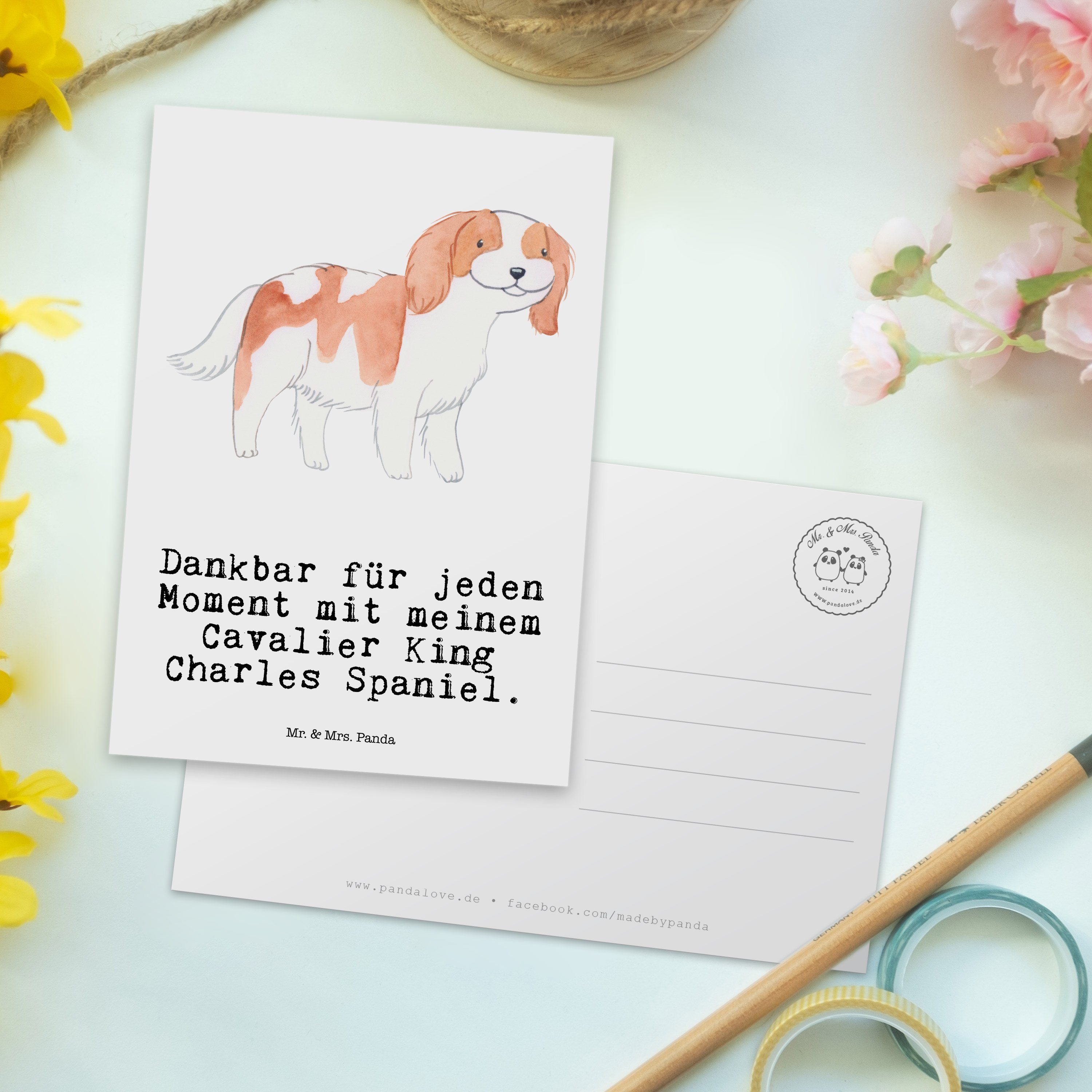 Mr. & Mrs. Panda Moment - King - Rassehu Charles Weiß Postkarte Hund, Cavalier Geschenk, Spaniel