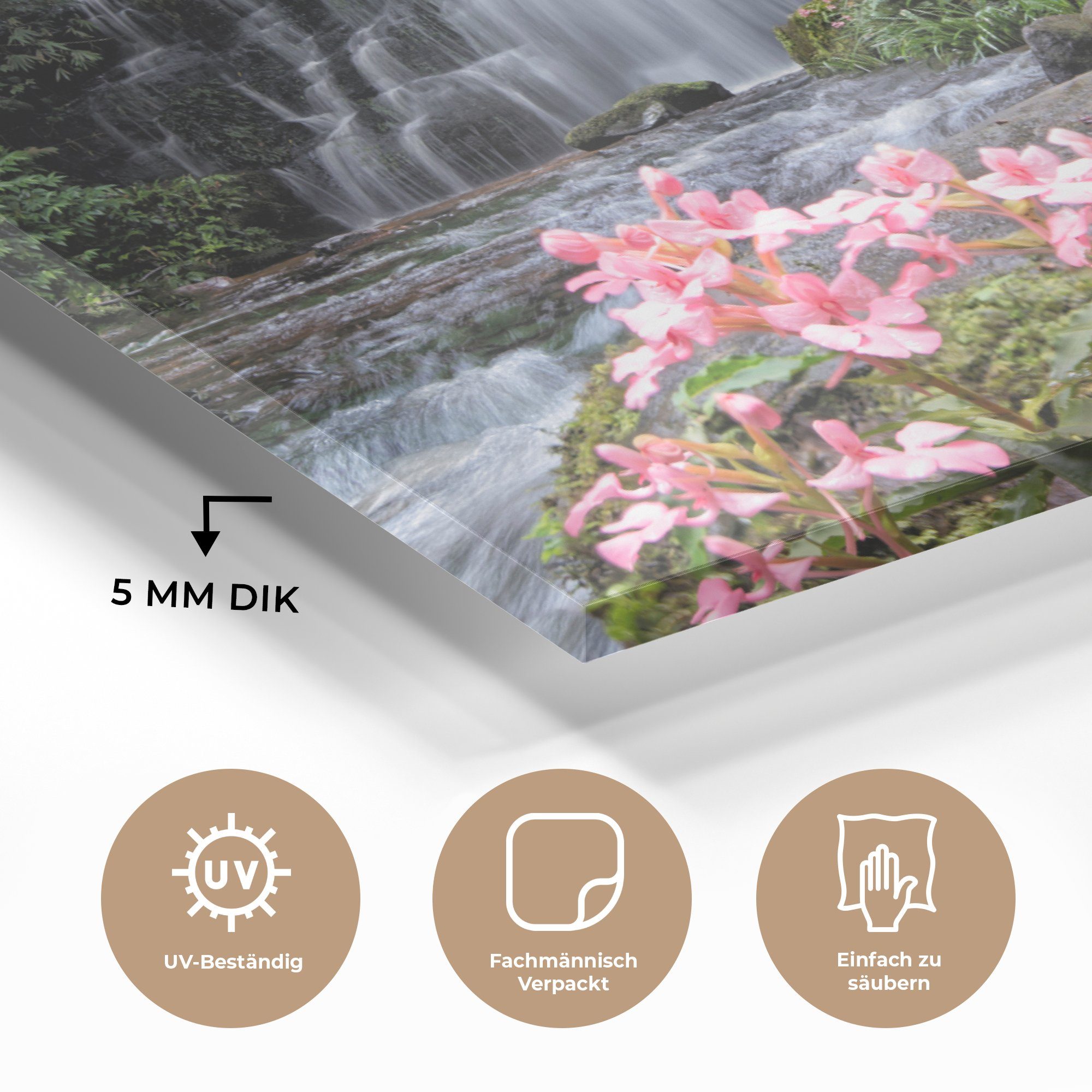 MuchoWow Acrylglasbild Rosa wachsen im Wasserfall (1 Löwenmäulchenblüten Acrylglasbilder St), & einem Phu Rong, Wohnzimmer vor Schlafzimmer Hin