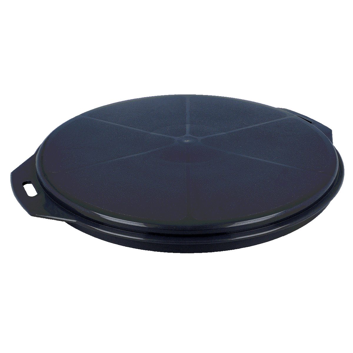 EUROHOME Tortenglocke Tortenbehälter - Kuchenbehälter mit Tragegriff und Klickverschluss,(1-tlg., Kuchencontainer 32 x 14 cm) Sichere Transportbox für Kuchen und Torten