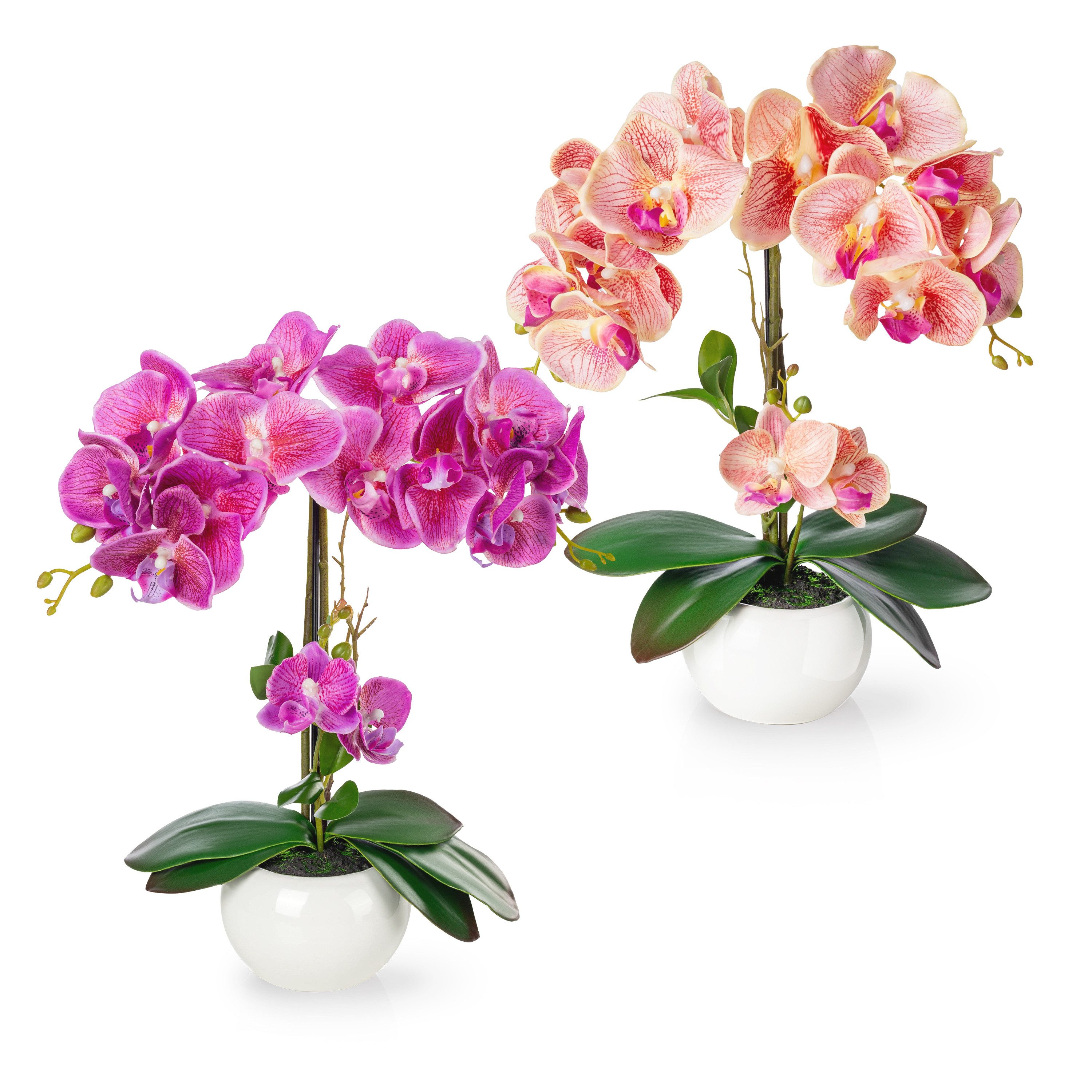 Kunstorchidee PASCH® Orchidee künstlich wie echt (40cm) in Hochglanz-Keramiktopf Orchidee, PASCH