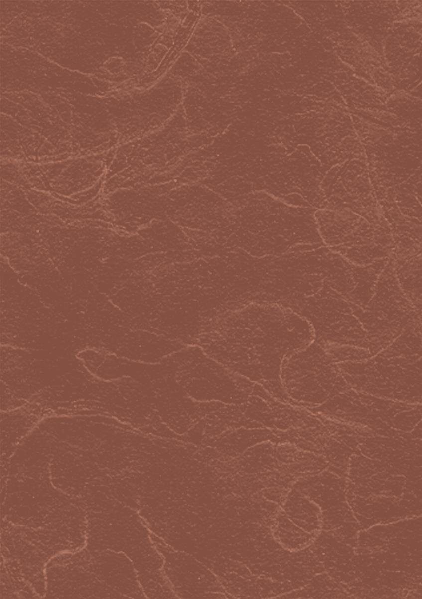 Heyda Seidenpapier Heyda 204718570 Strohseide 50 x 70 cm hellbraun