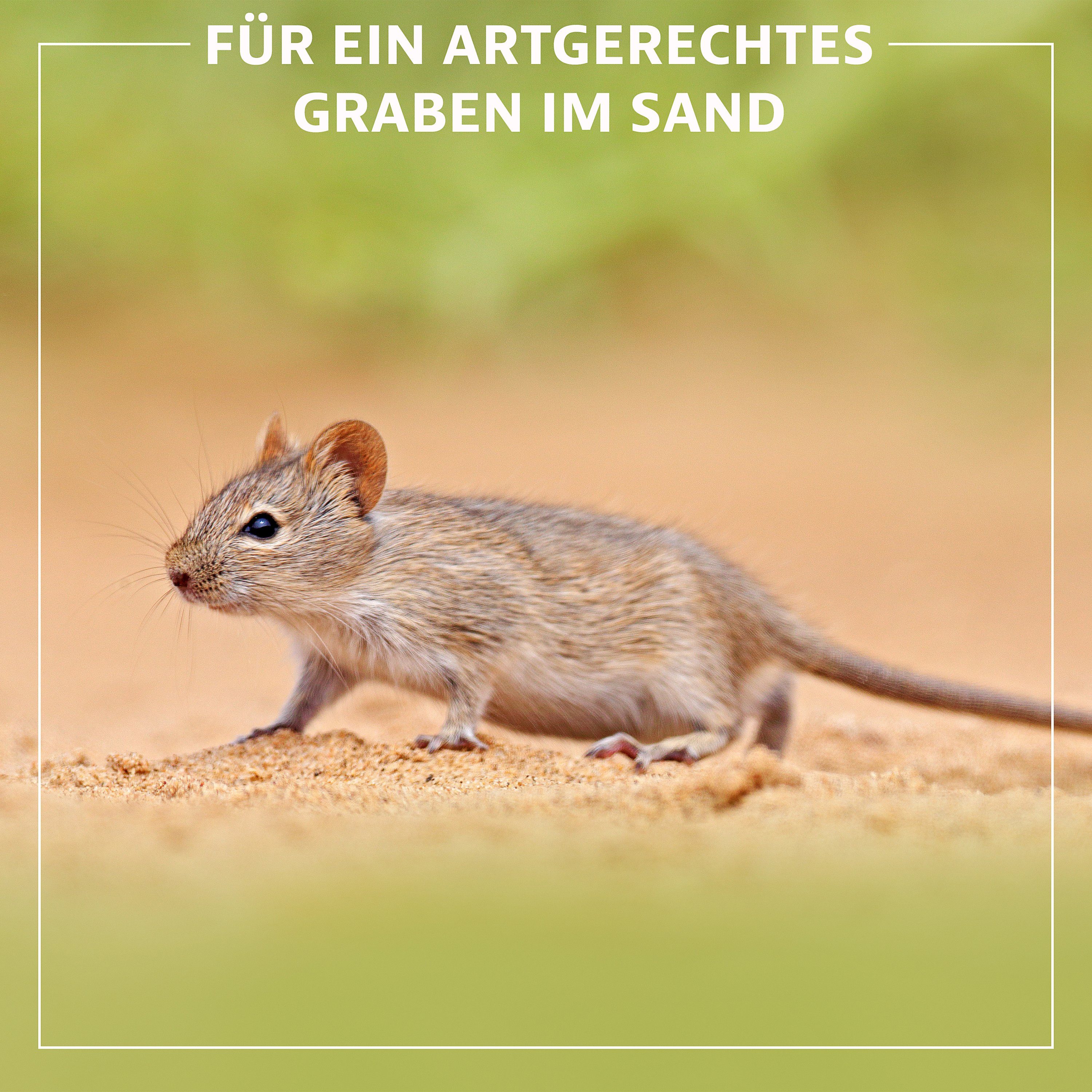 ELMATO Badesand Elmato 12080 Spezial Buddelsand für Kaninchen Hasen Nager 5 kg