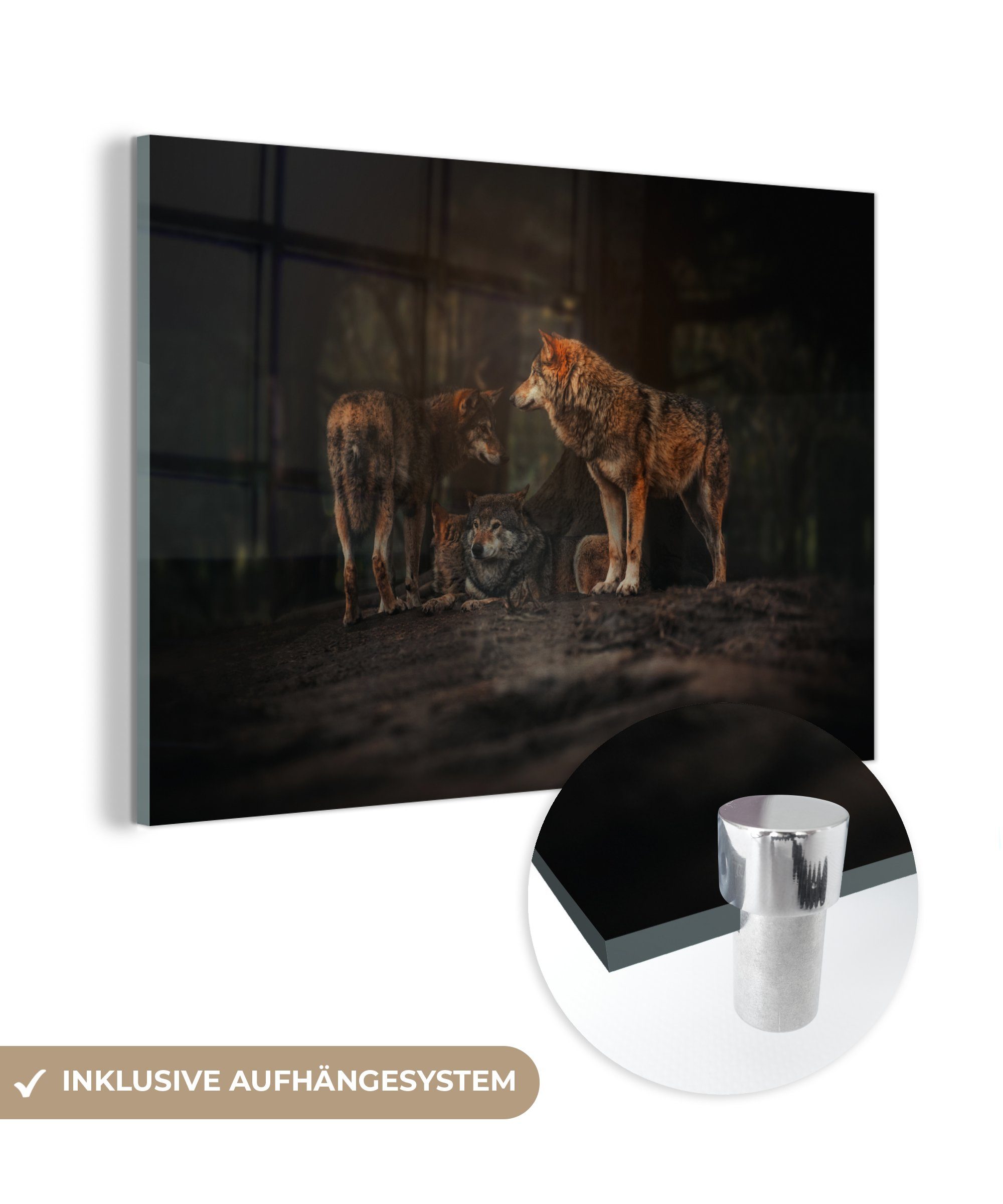 MuchoWow Acrylglasbild Wolf - Tiere - Wald, (1 St), Acrylglasbilder Wohnzimmer & Schlafzimmer | Bilder