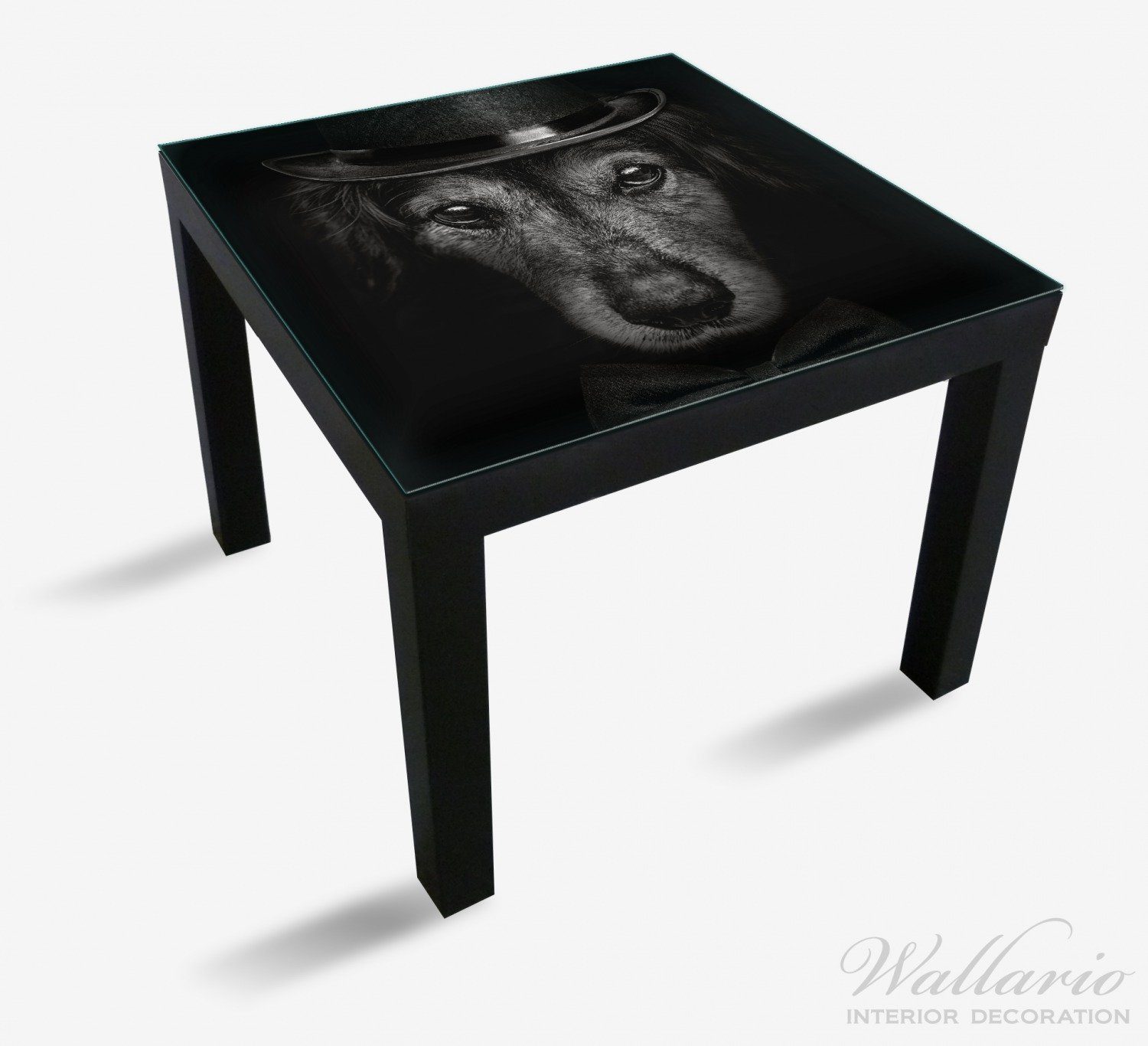 Lack St), Ikea schwarz-weiß Tischplatte Hund Wallario (1 mit Eleganter geeignet für Tisch Zylinder in