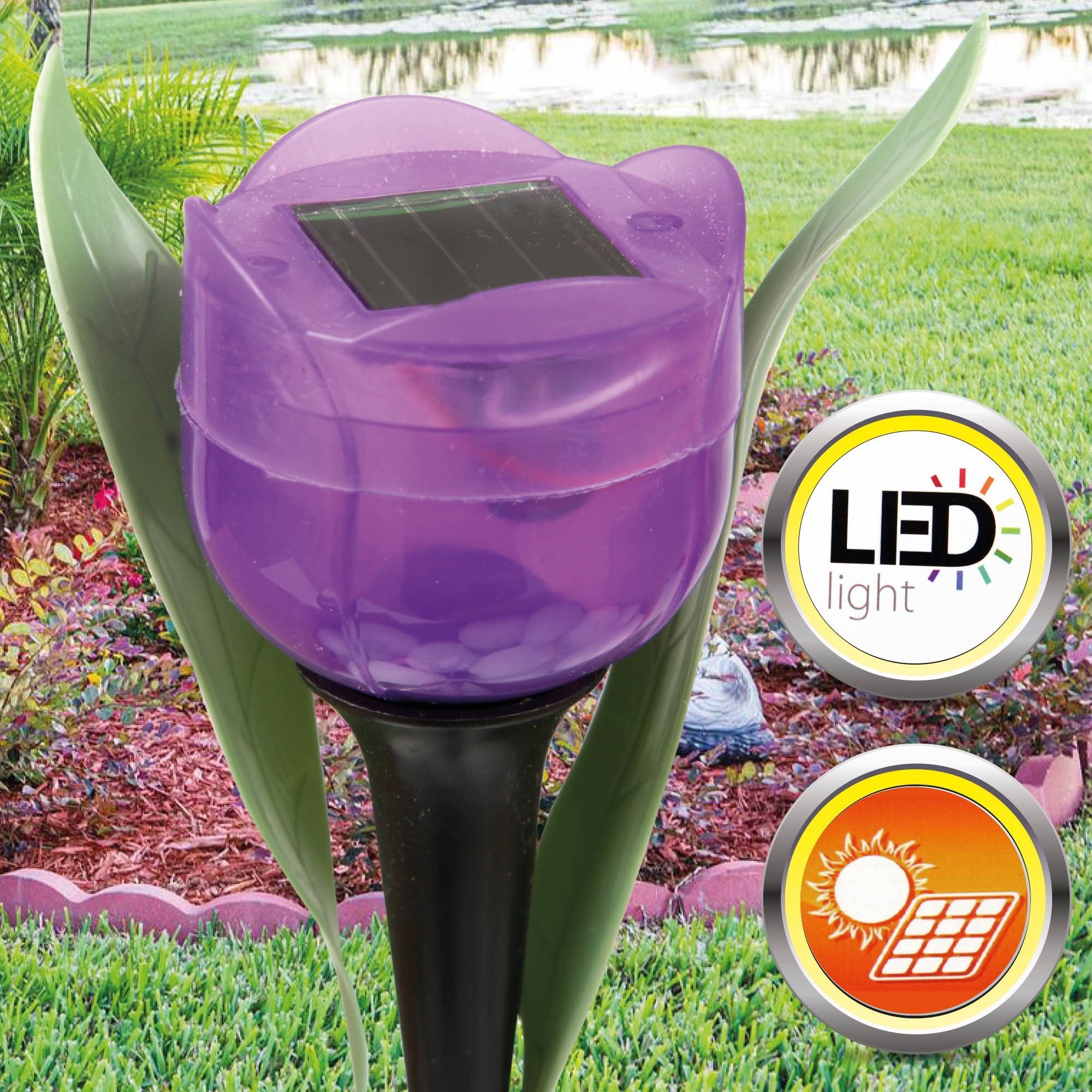 Bestlivings LED Solarleuchte Tulpensticks-05011, Solarlampe, fest Tulpenoptik Lila Tageslichtweiß, festintegriert, 30cm Gartenlampe(ca. LED LED Höhe) integriert