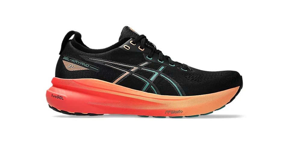 004 BLACK/RAINY LAKE