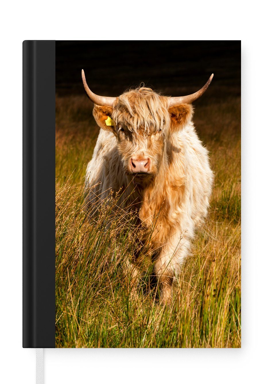 MuchoWow Notizbuch Schottische Highlander - Licht - Gras - Tiere, Journal, Merkzettel, Tagebuch, Notizheft, A5, 98 Seiten, Haushaltsbuch